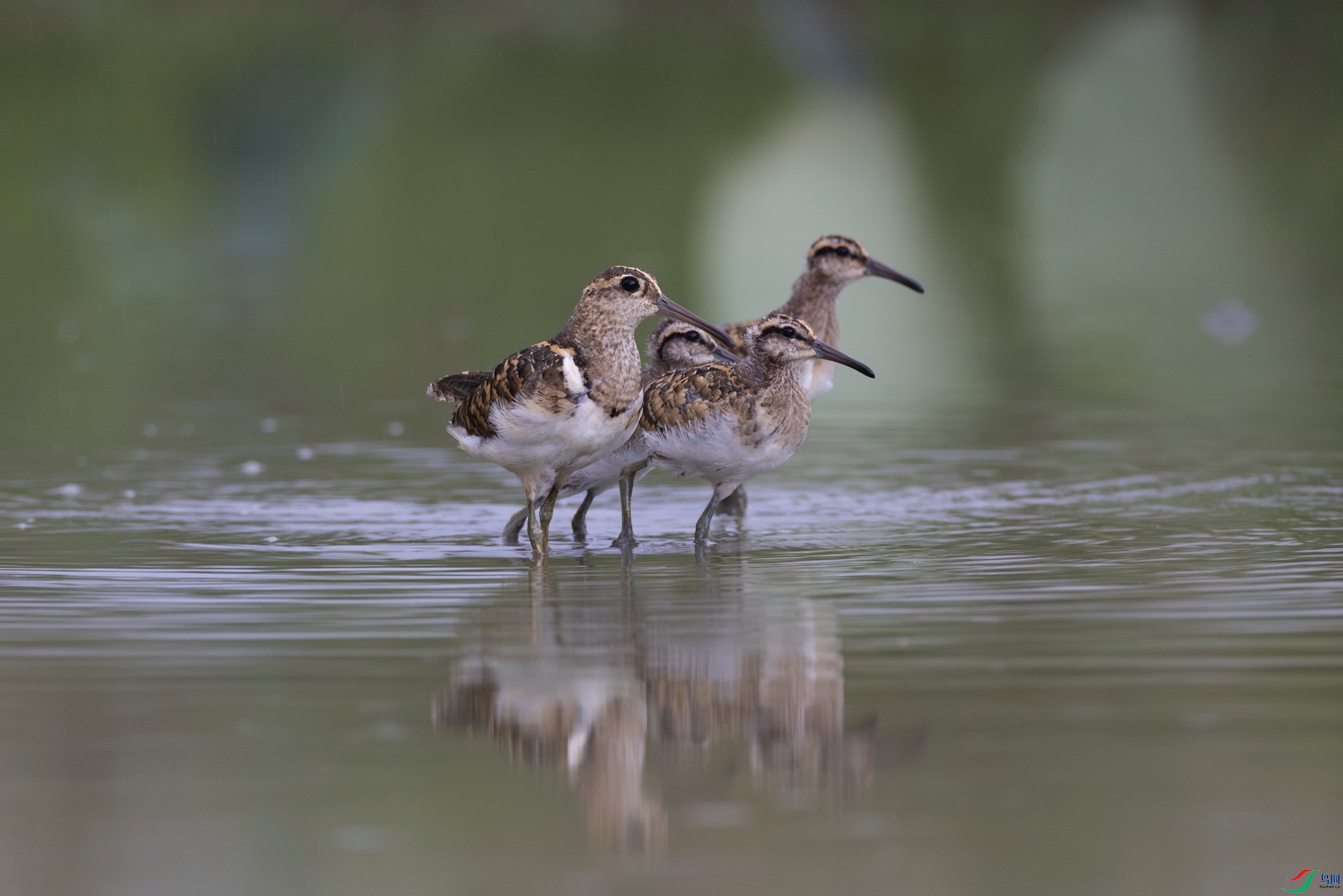 WechatIMG4960 (1).jpeg