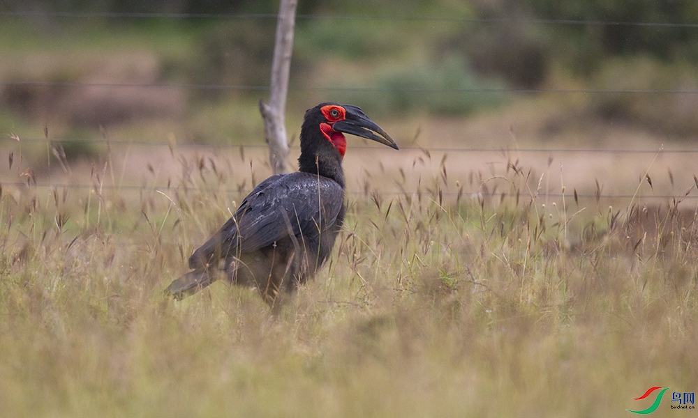 ��Ϭ�� (2).jpg