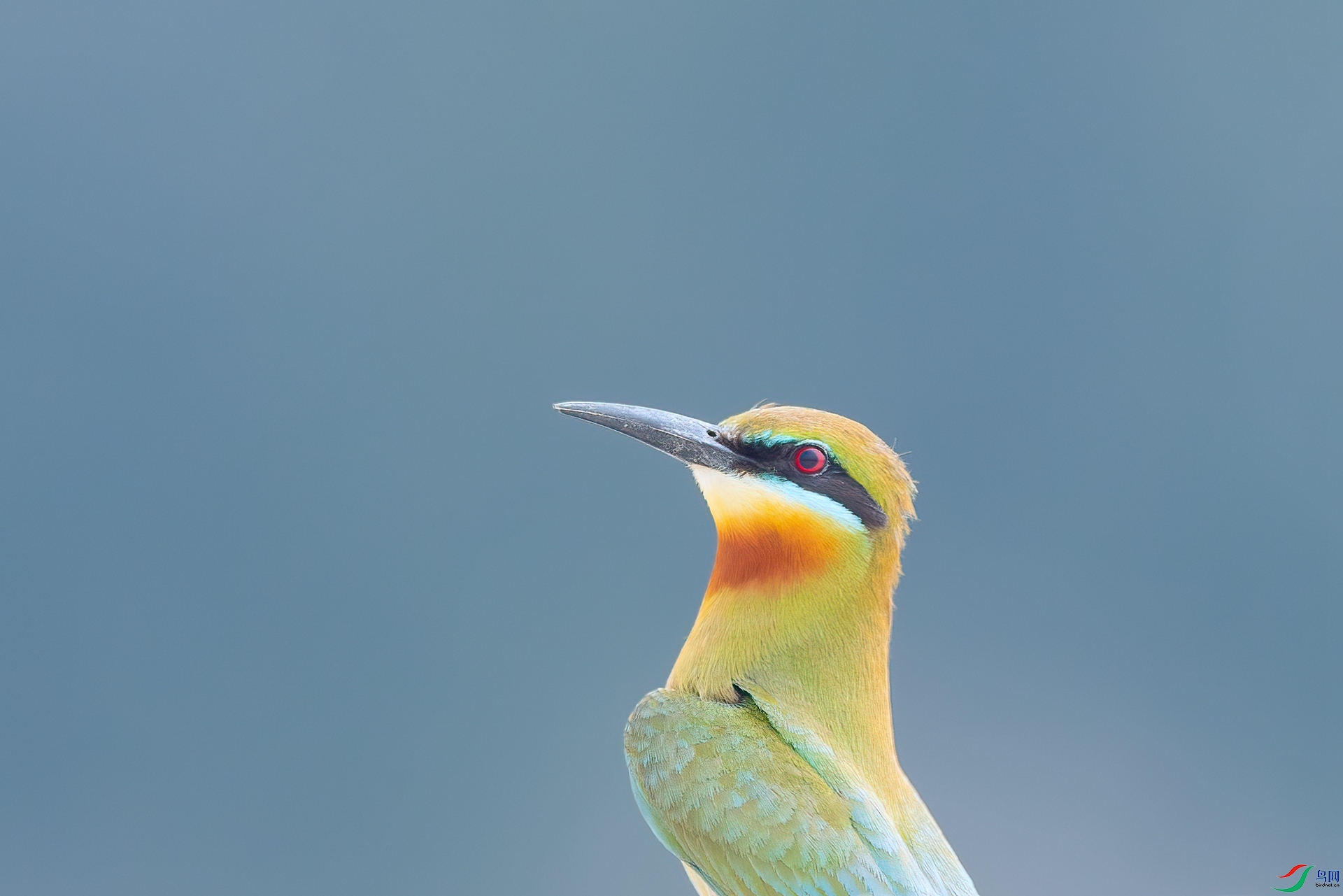 B86I5808 _����.jpg