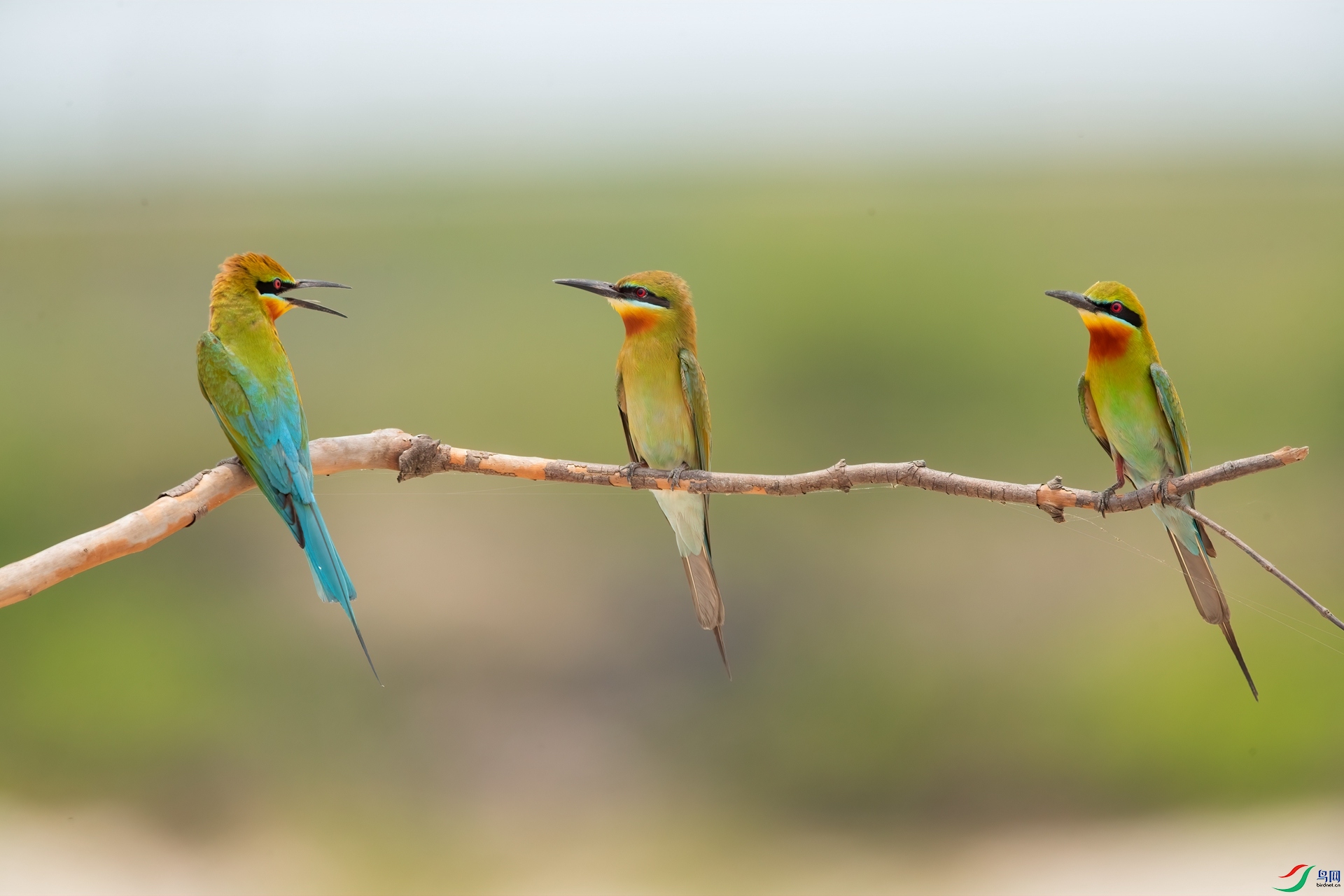 B86I5326 _����.jpg