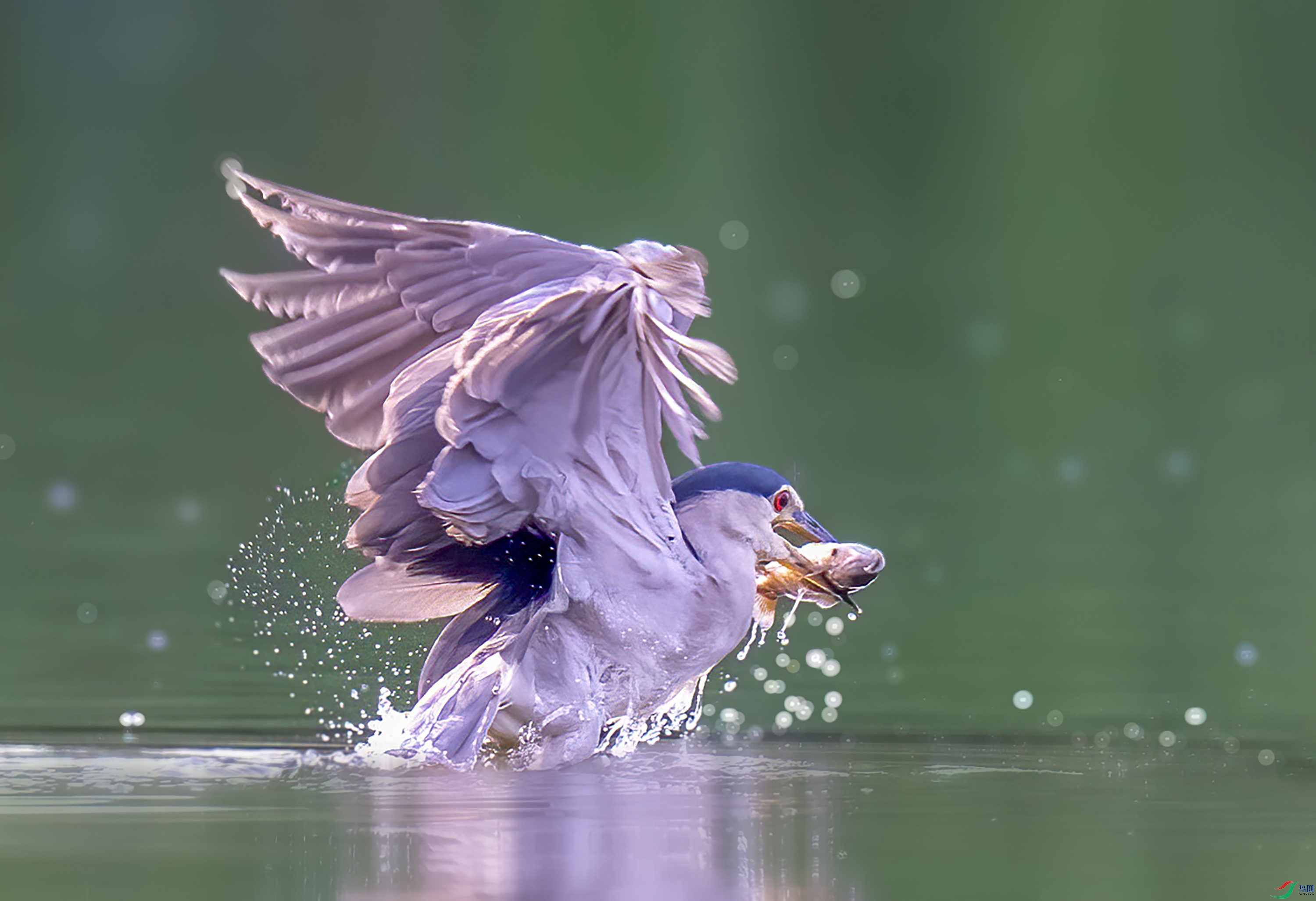 _JLN6789     ok ����.jpg