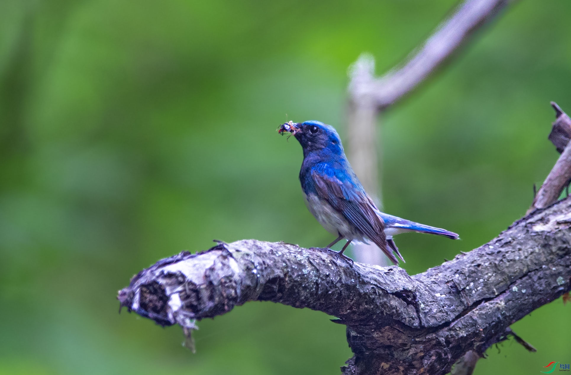 DSC_8791.jpg