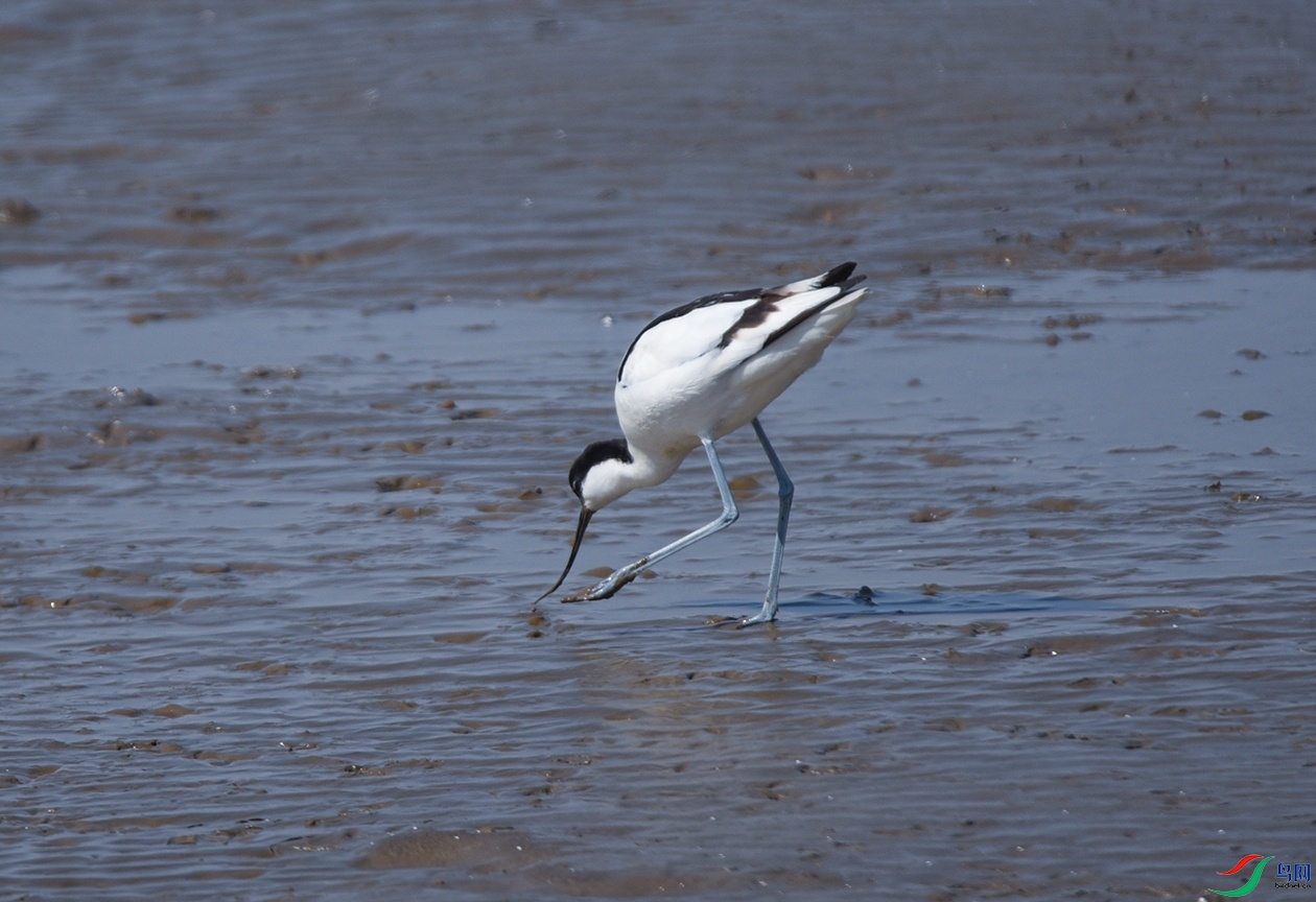 DSC_5271f_��ͼ��.jpg