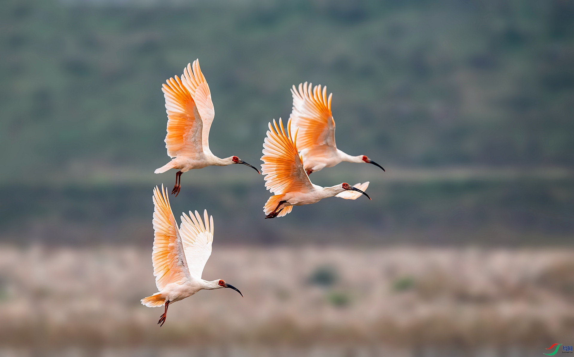 DSC_0429 ����_����.jpg