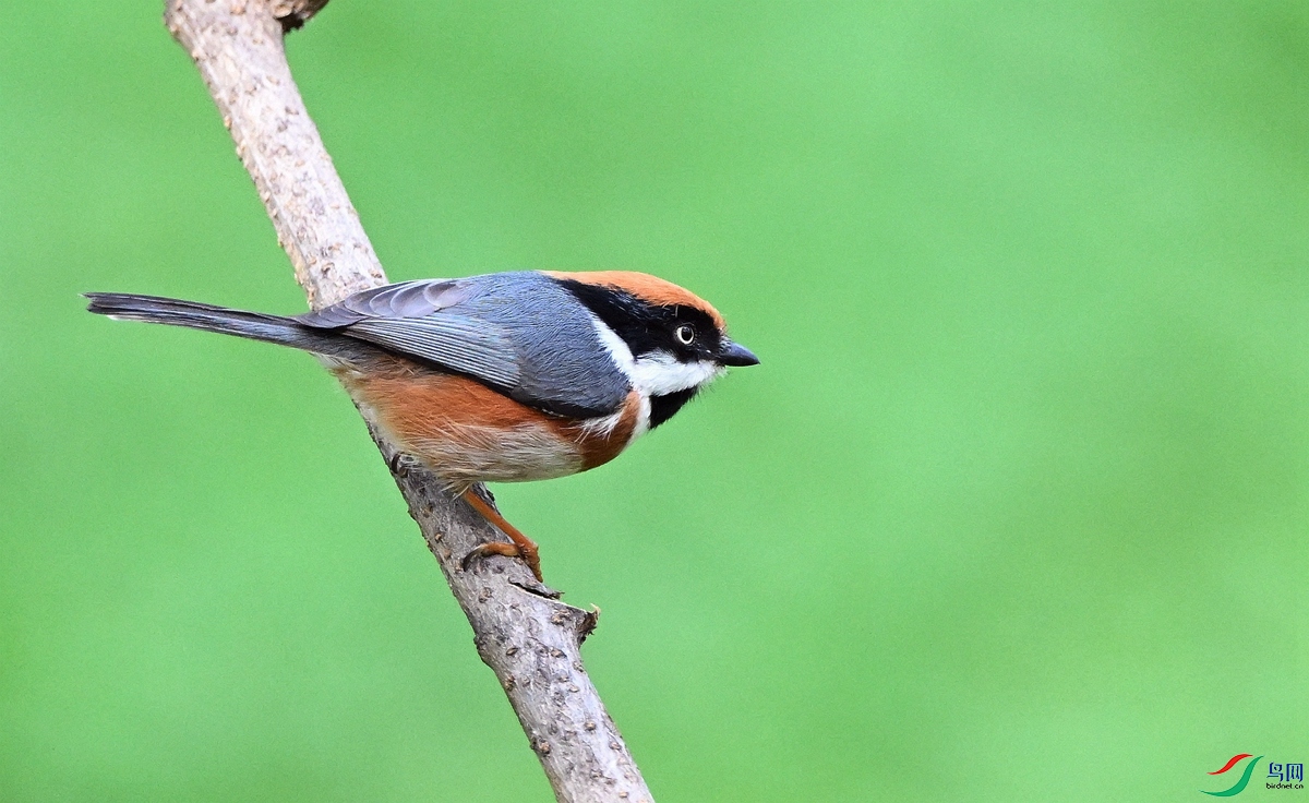 DSC_8430_����.jpg
