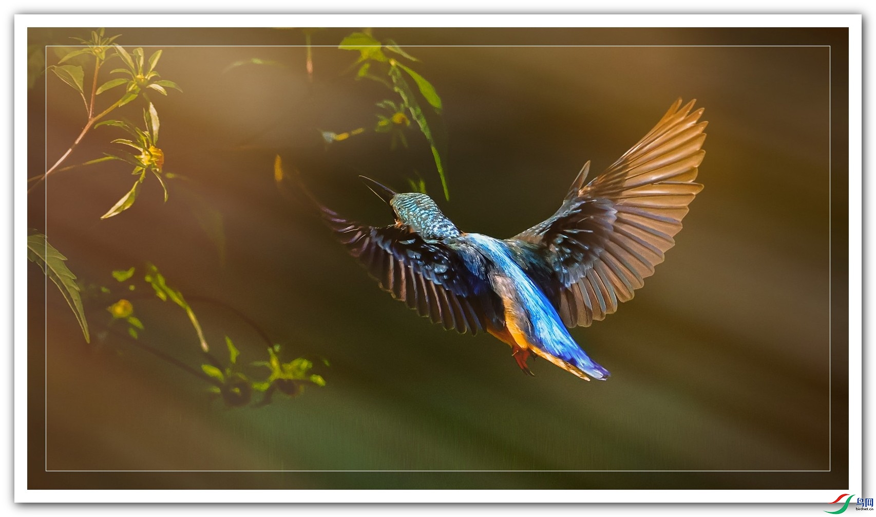 ���ڿ��ﶫ��