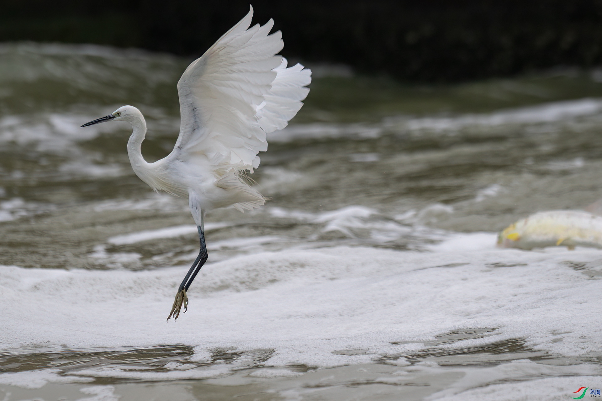 DSC_0619.jpg
