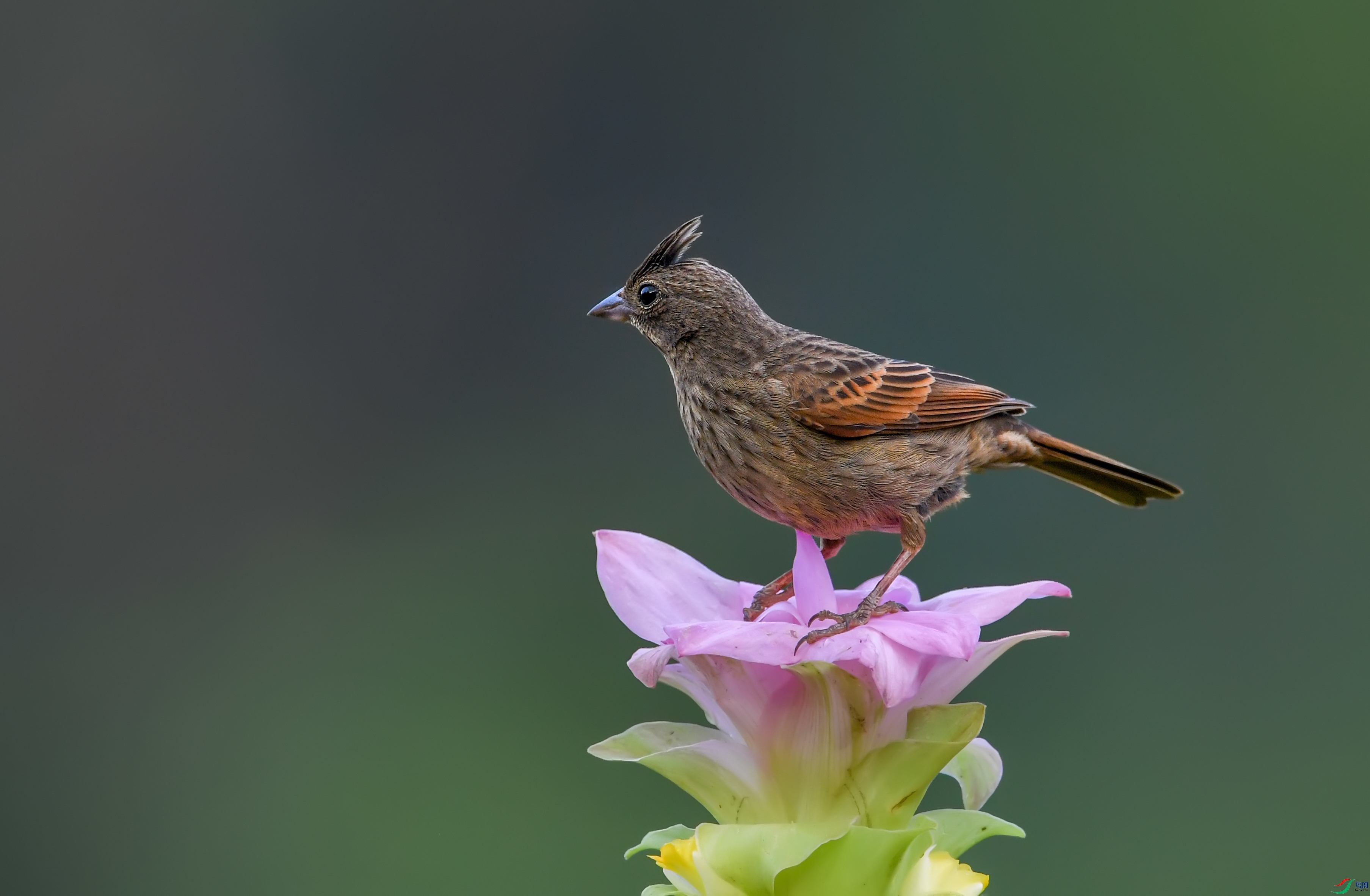DSC_5618.jpg