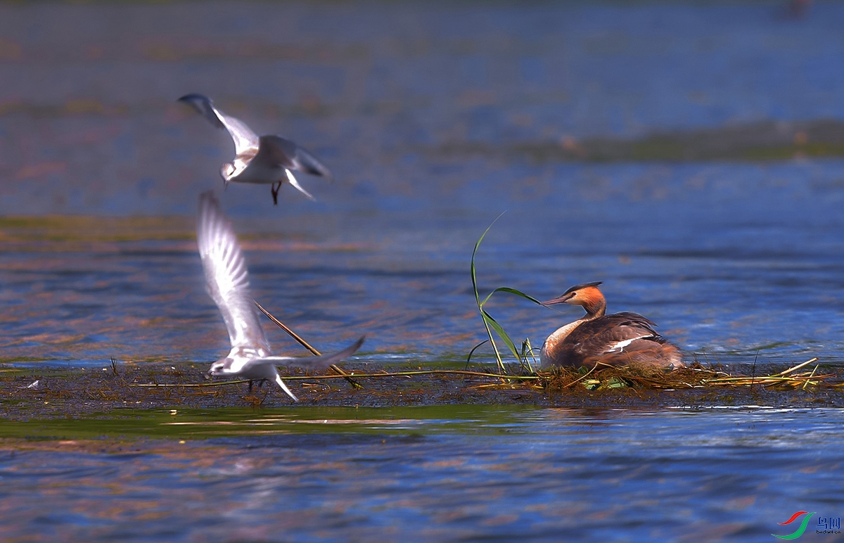 DSC_7964.JPG