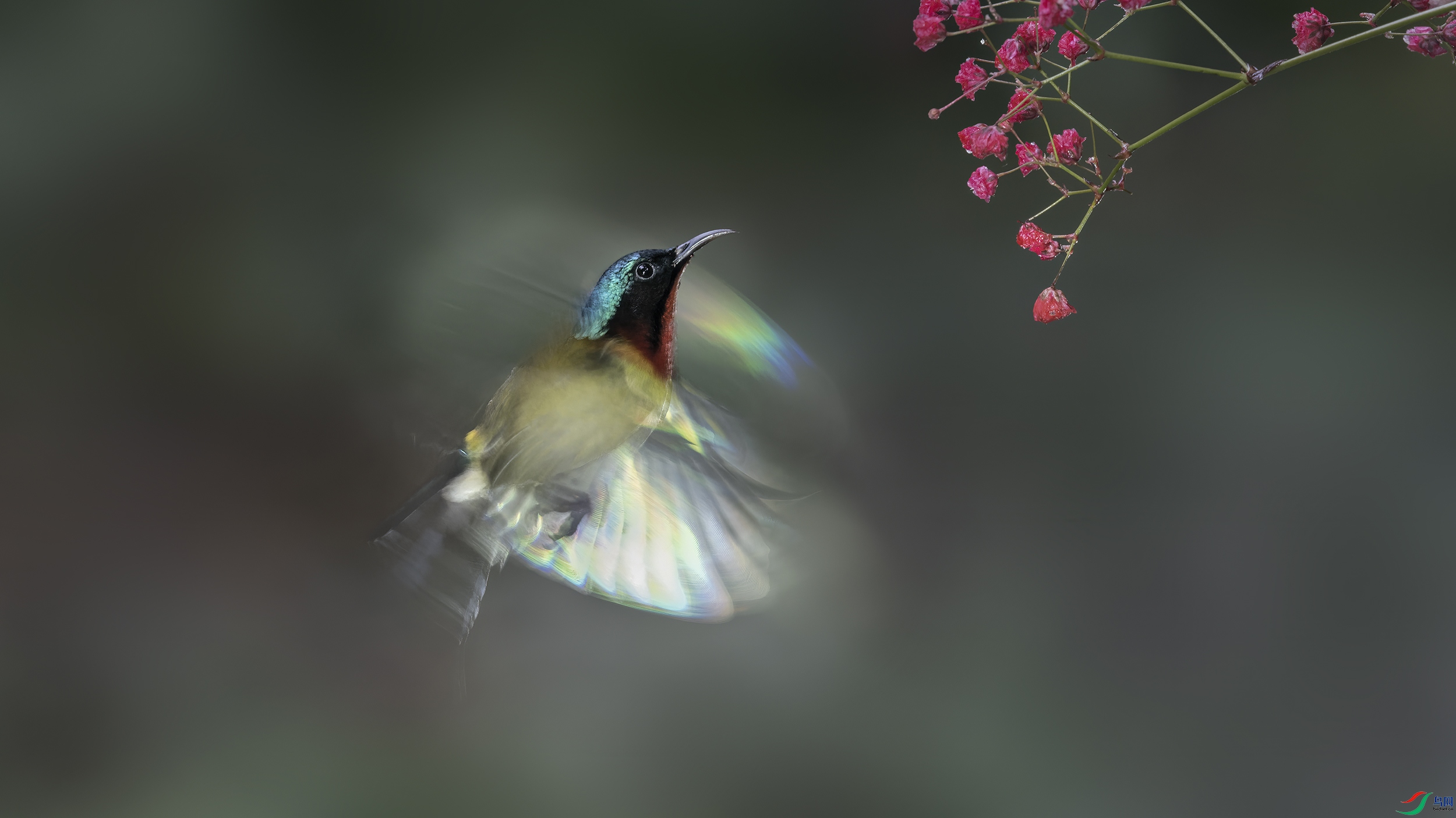 _DSC6490_DxO.jpg