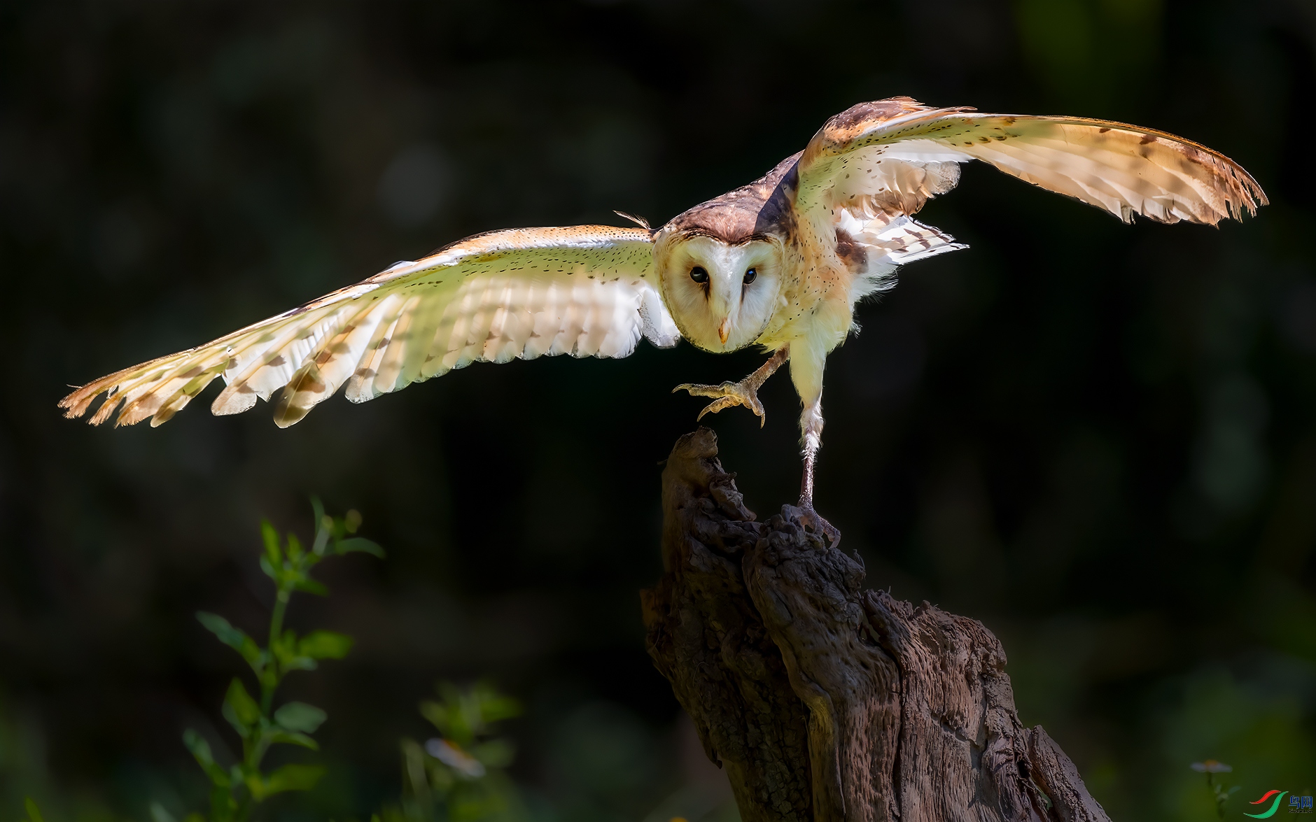 DSC_4760 ����.jpg