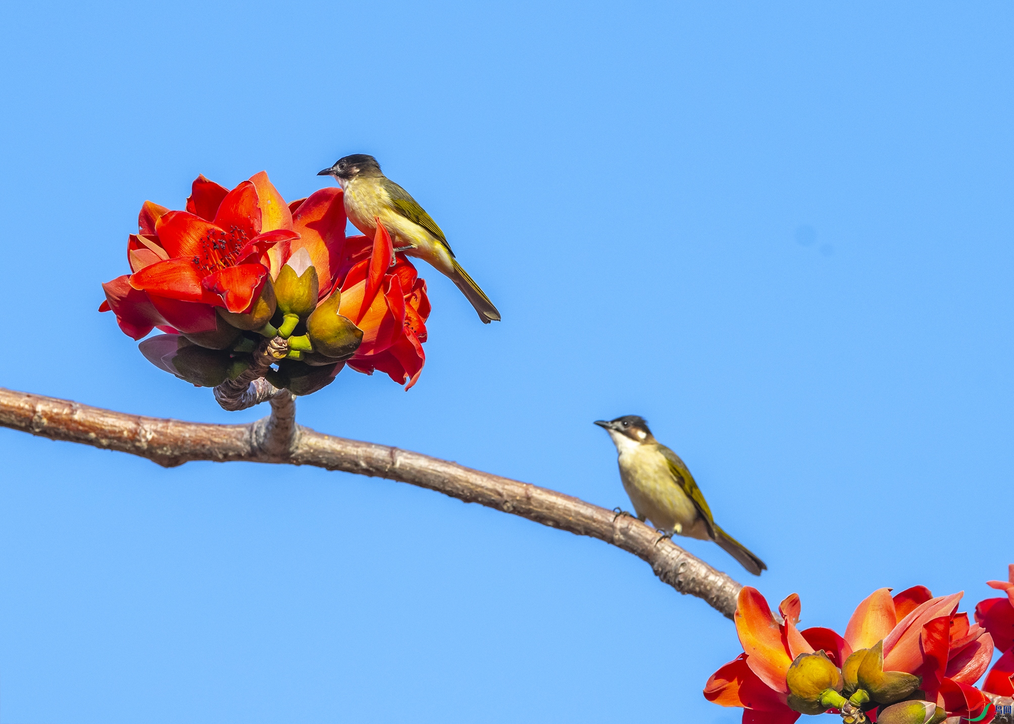 2405 ����.jpg