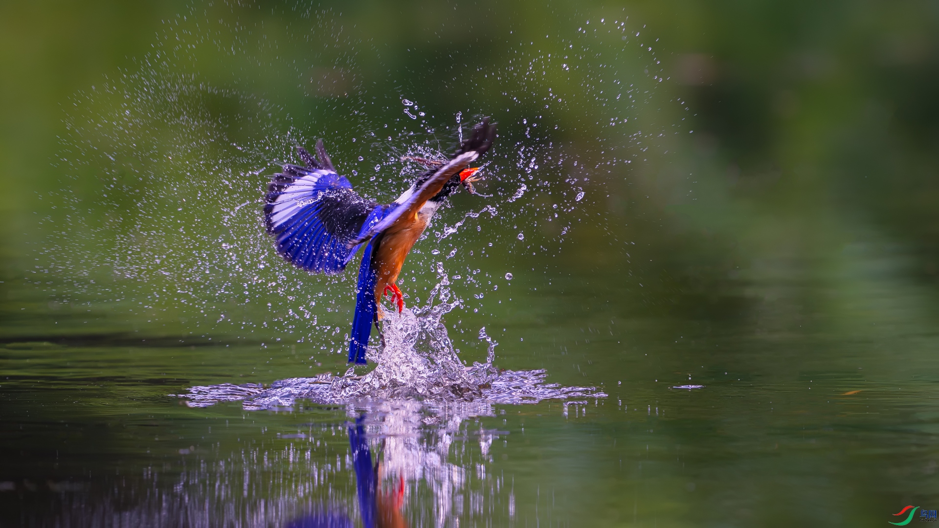 DSC_0618==1w.jpg