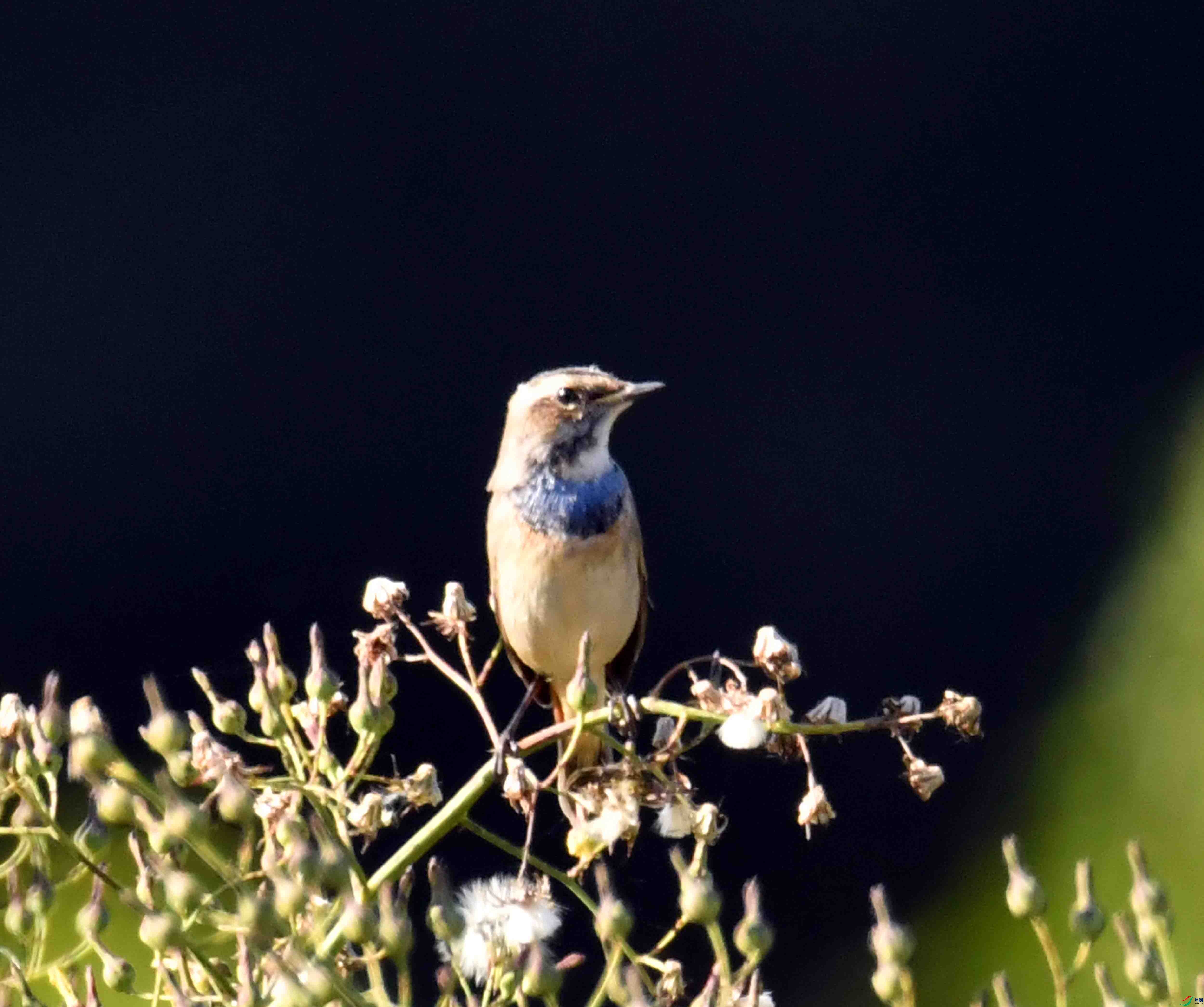 DSC_8456.JPG