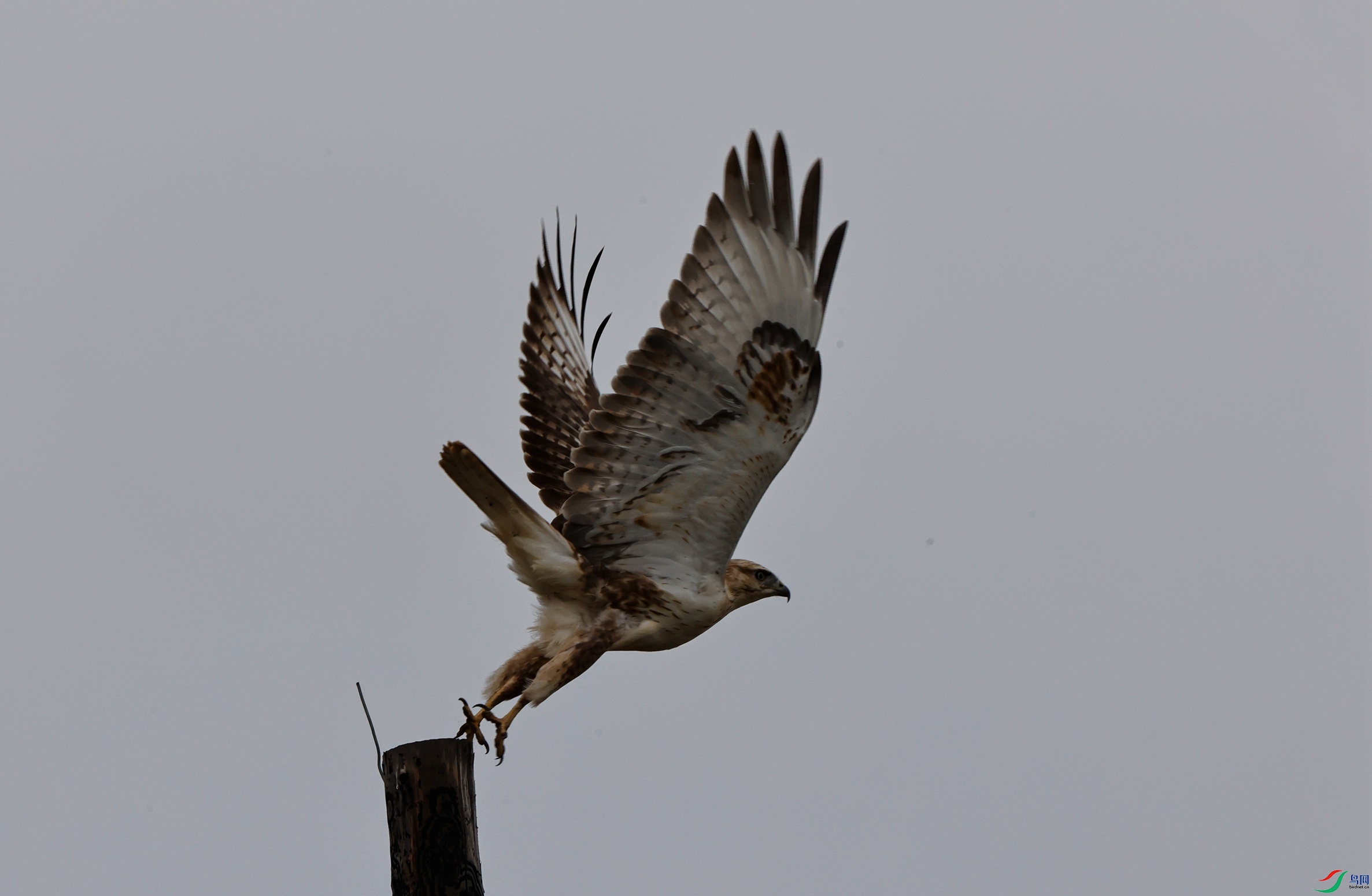 _X5A2270 - ����.JPG