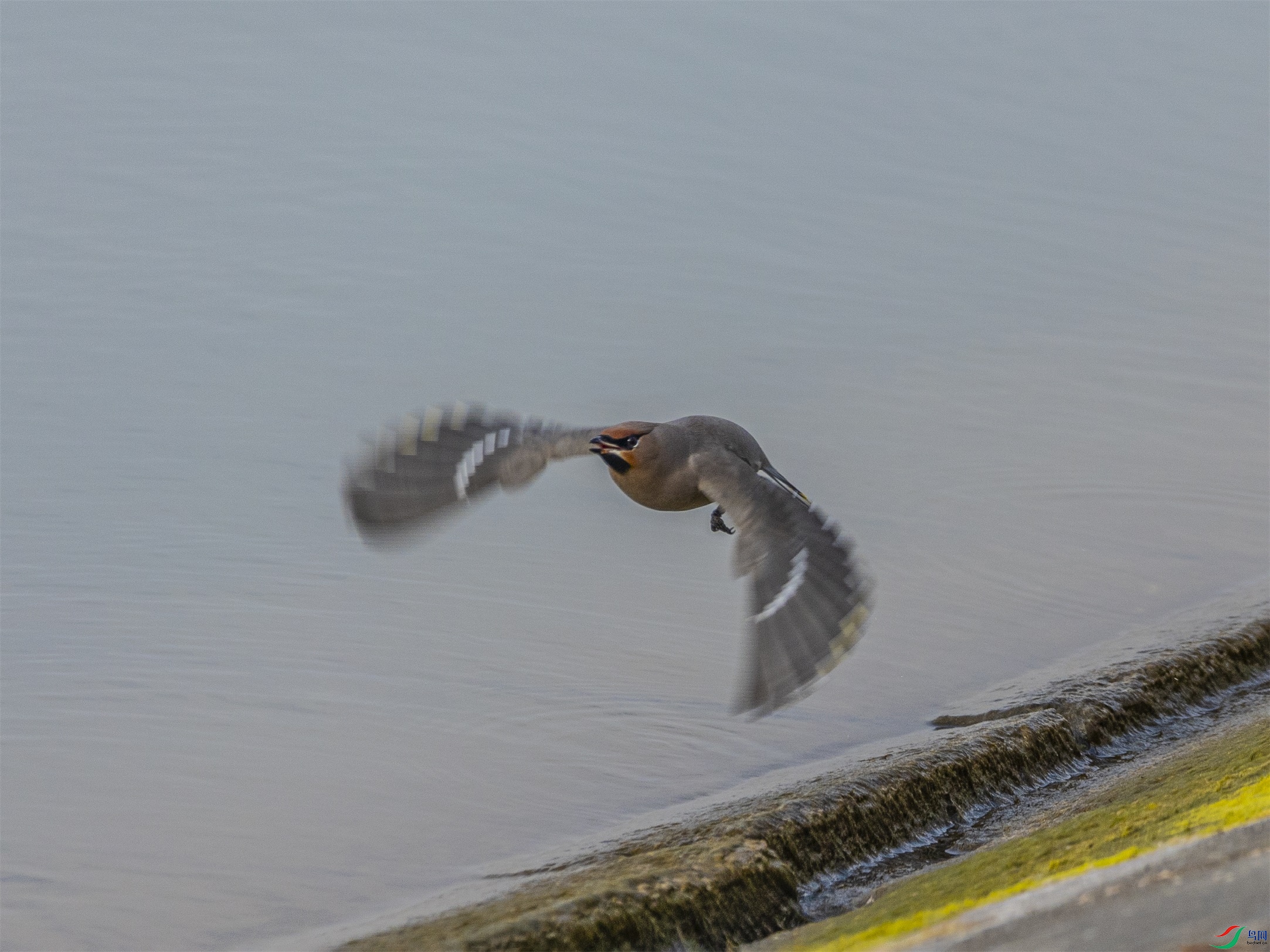 1K3A8585 ����1.jpg