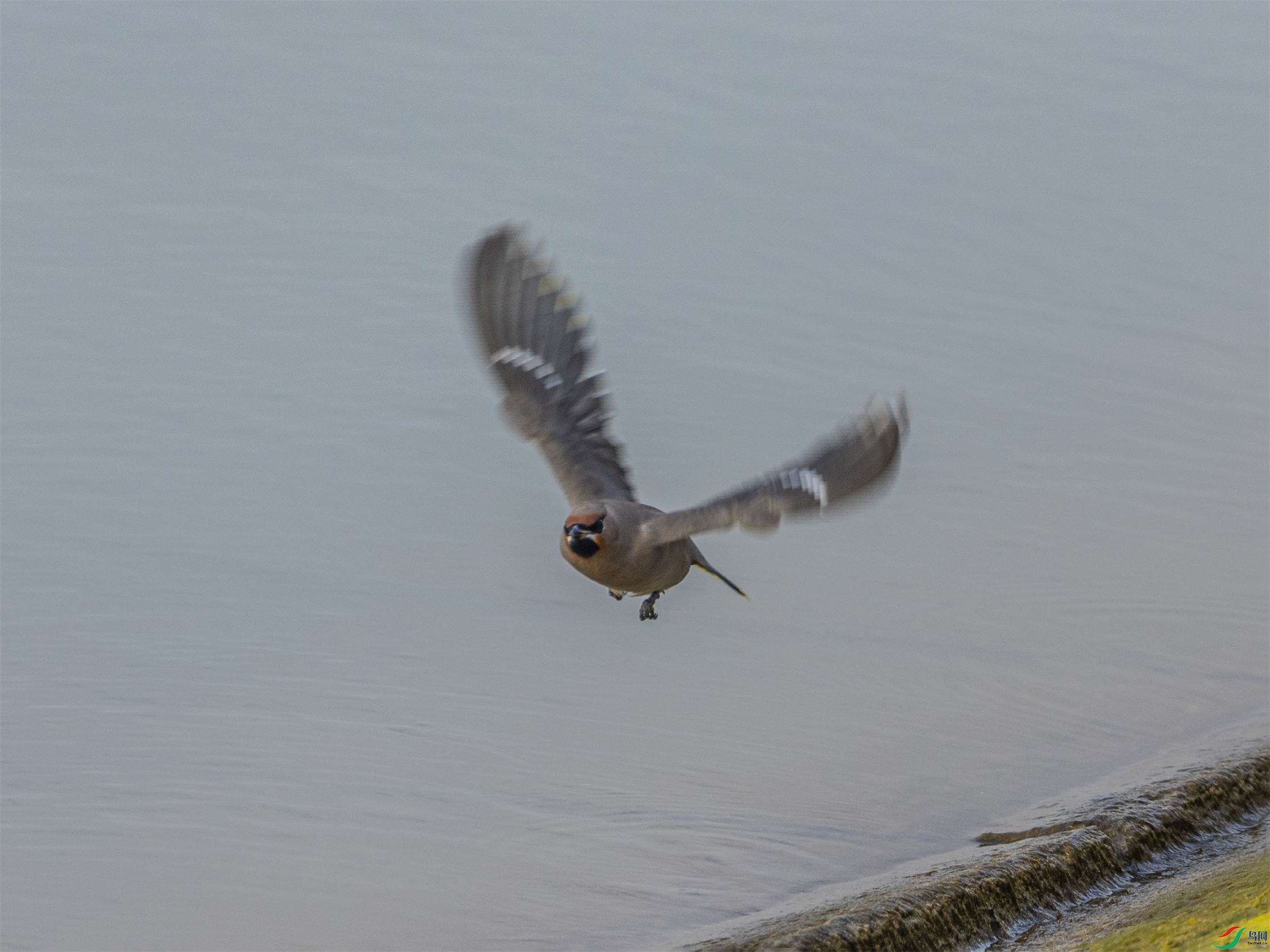 1K3A8586 ����1.jpg