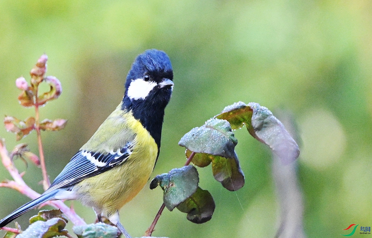 DSC_5871.JPG