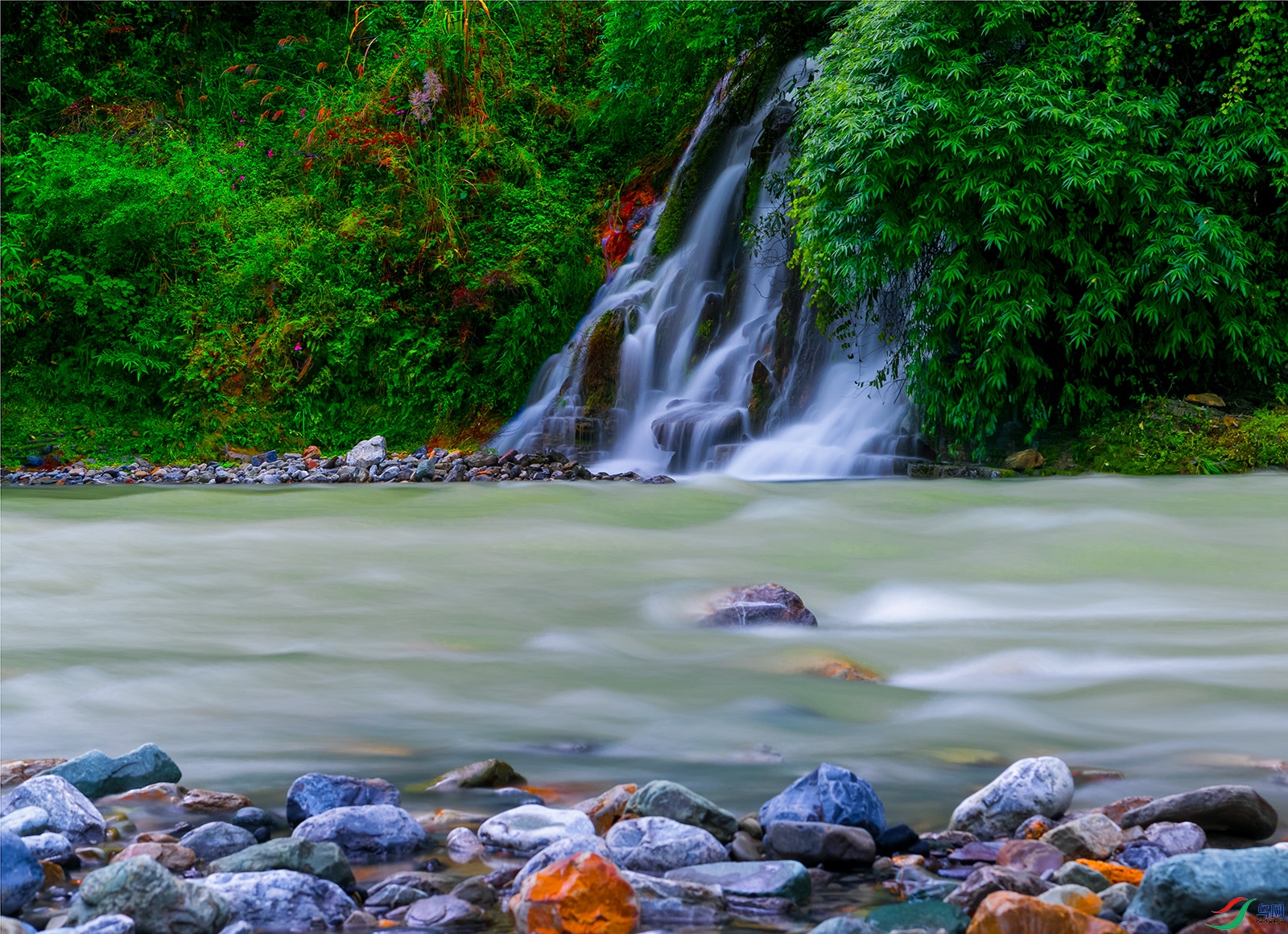 4933 ����.jpg