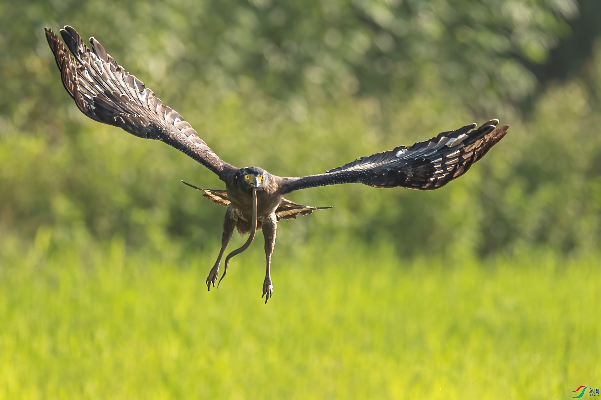 B86I7737 _����.jpg