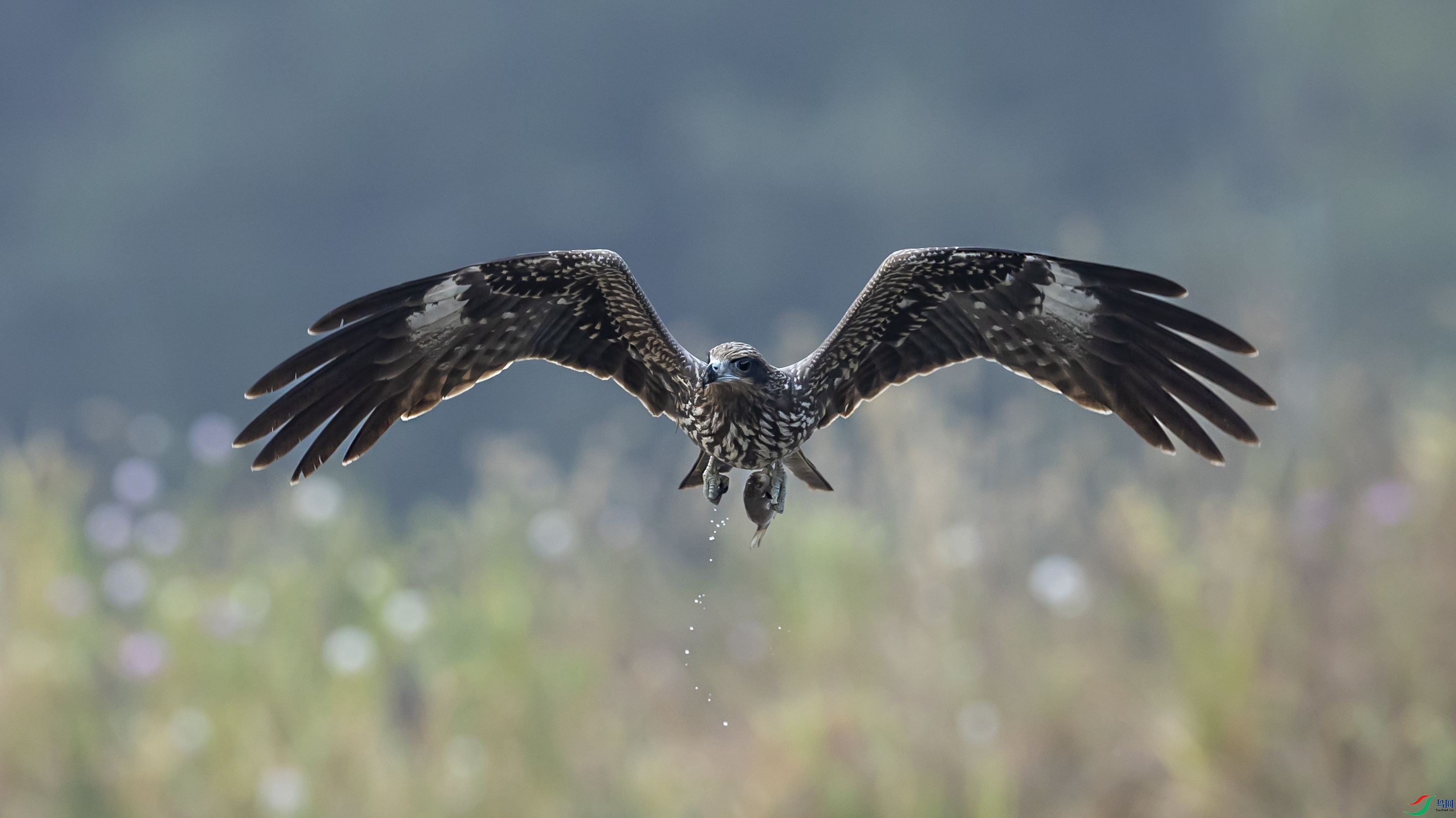 A05I8001����.jpg
