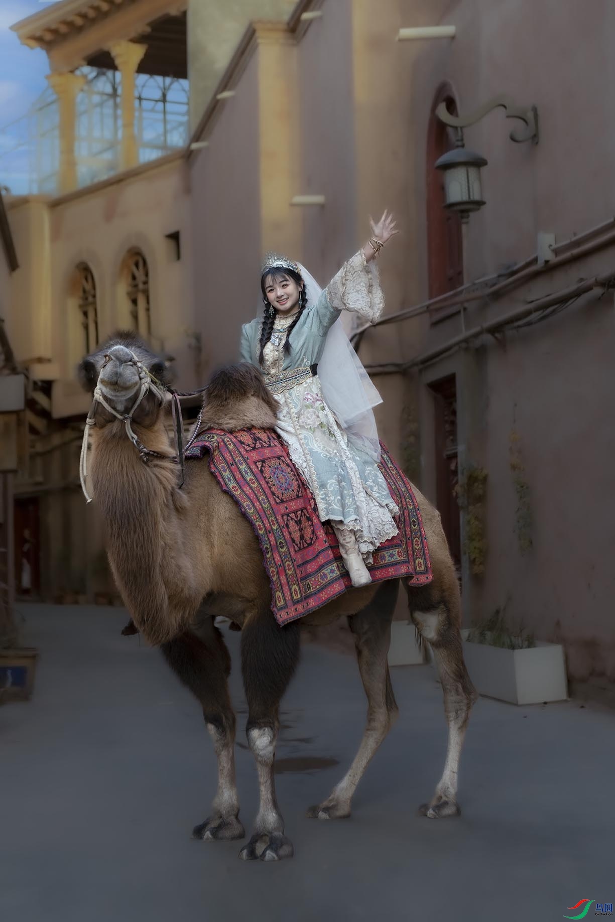 ��ʲ����