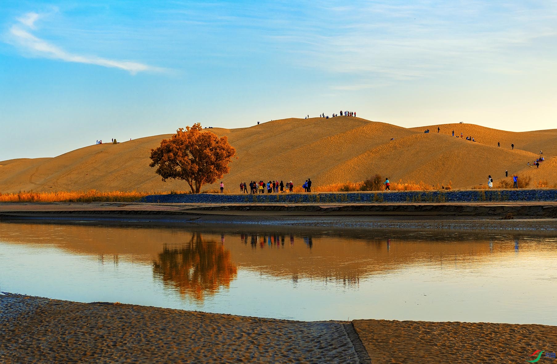 ����ľ������