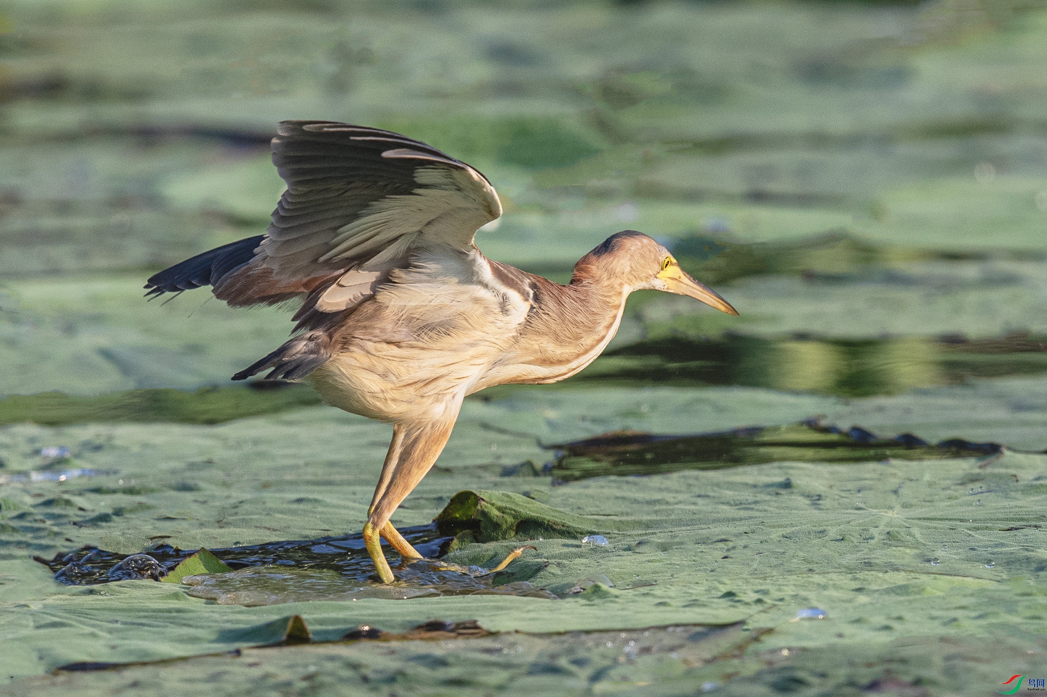 _90I1659 ����.jpg