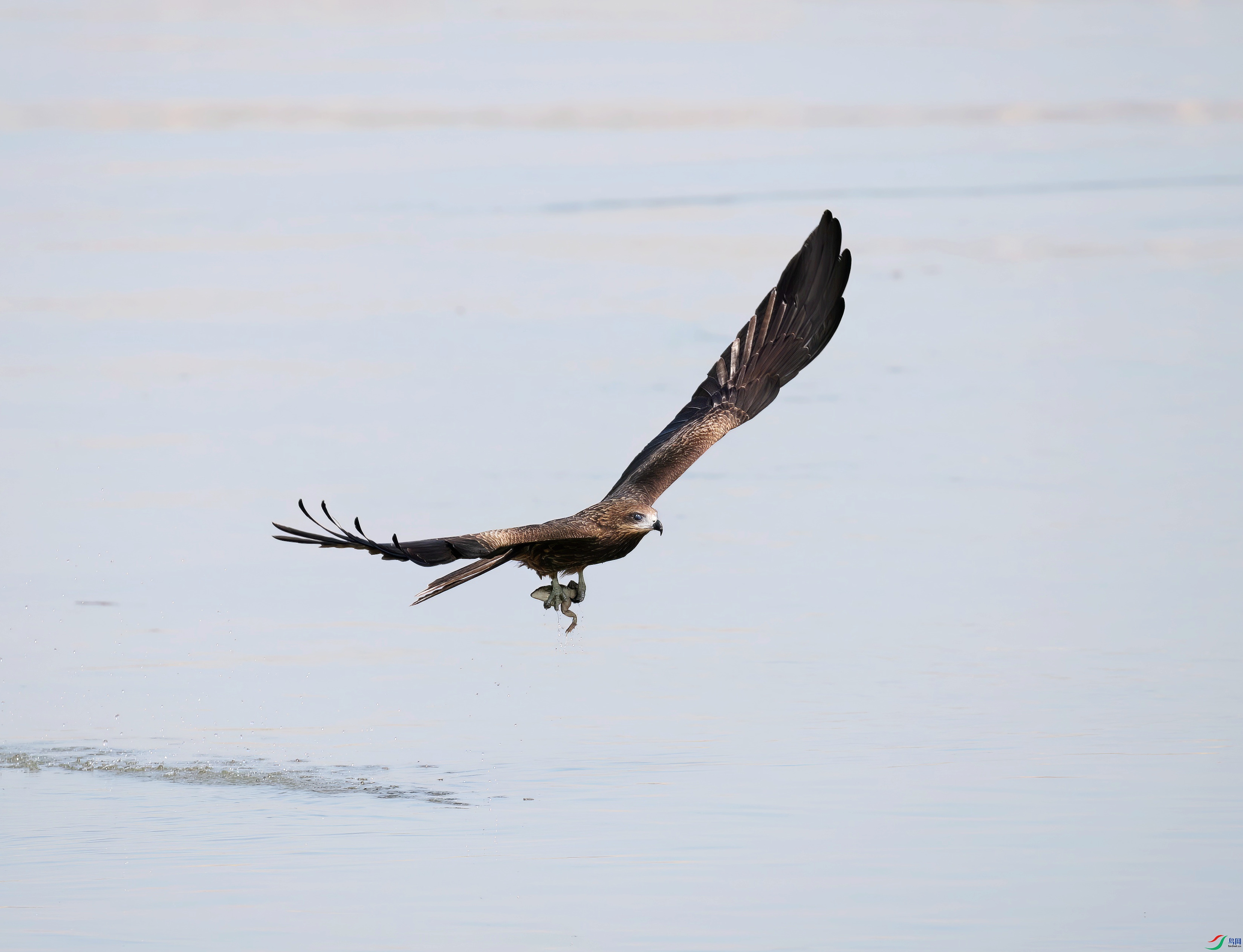 CC0V4767-topaz-denoise-enhance-sharpen_����.jpg