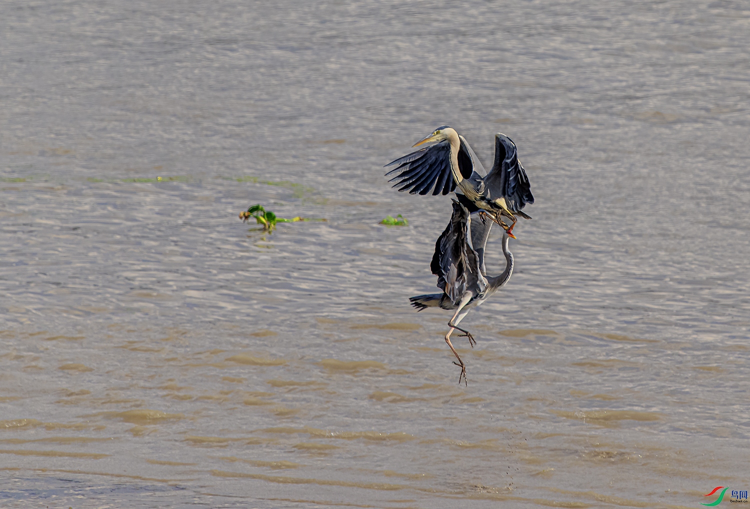 _DSC3260.jpg