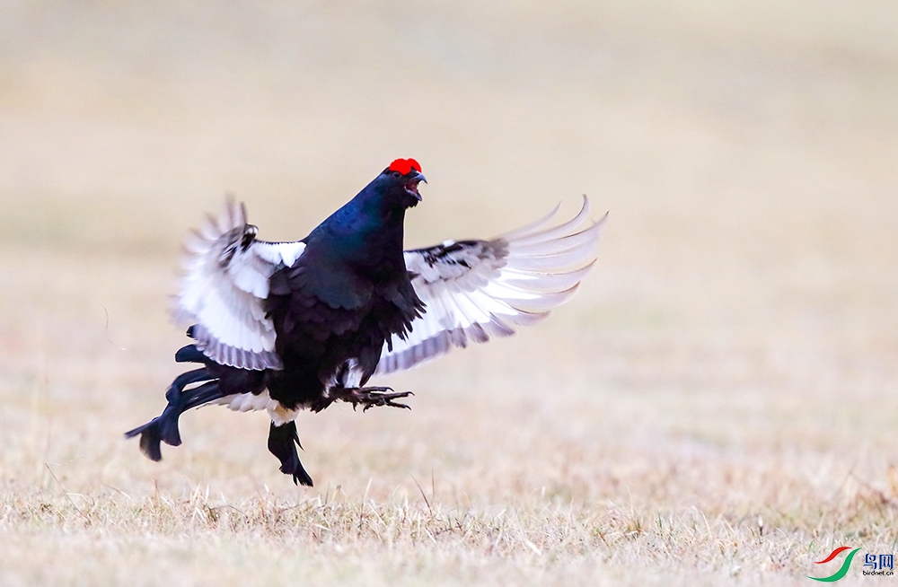 ����ĺ��� (2).JPG