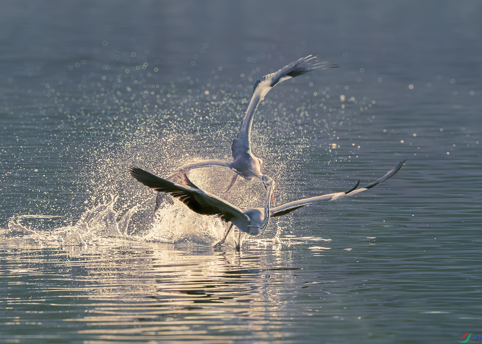 IMG_5609 ����11.jpg