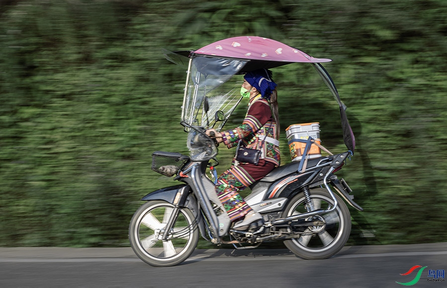 3V6A5825 ����.jpg