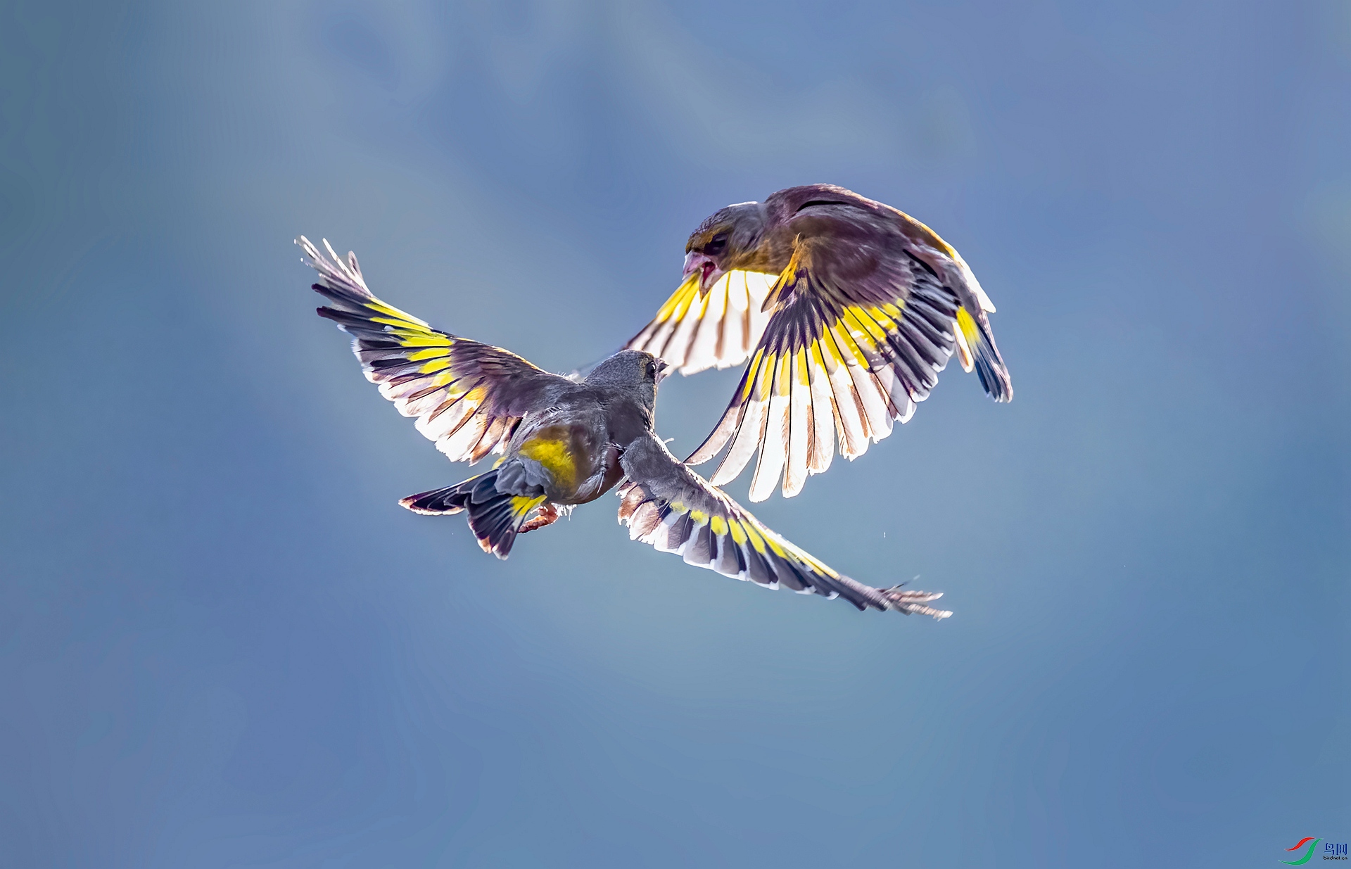 DSC_4147 ����_����.jpg