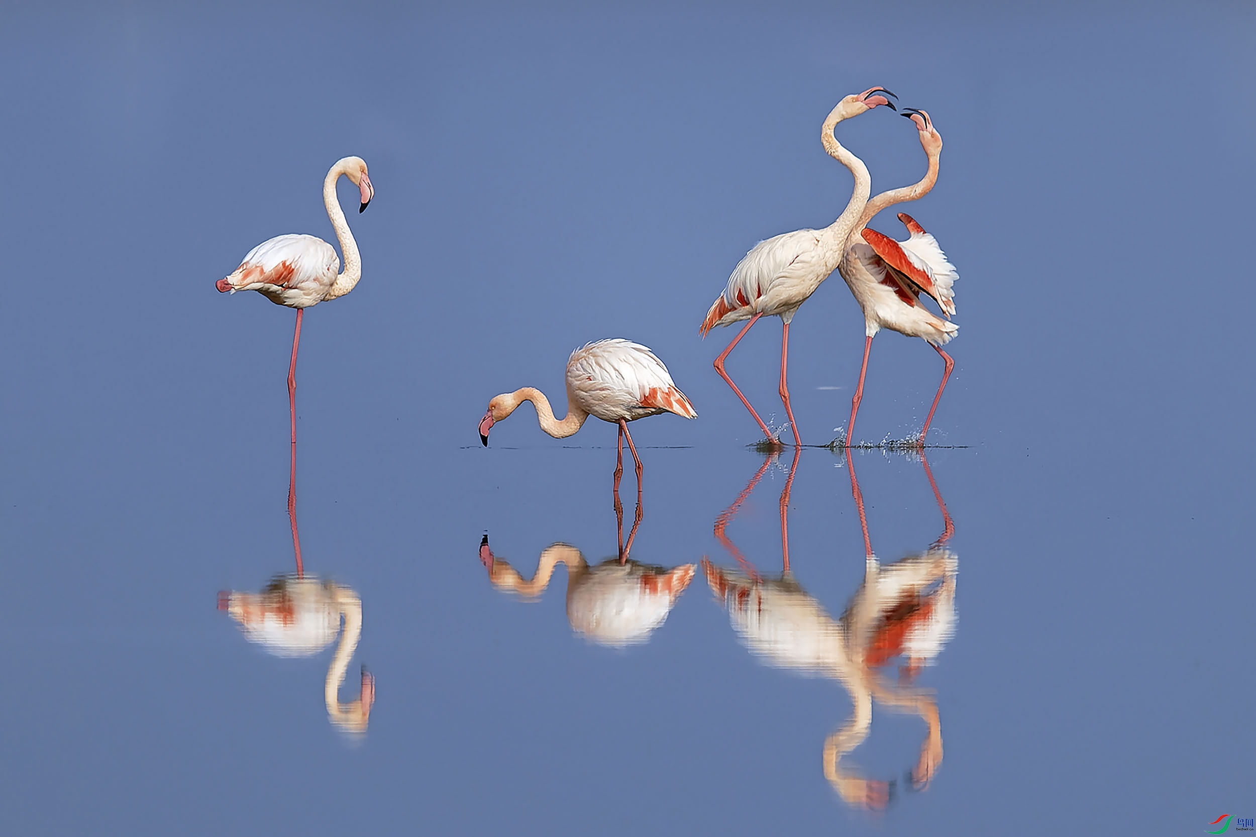 _A4I0840_DxOС ���� 2.jpg