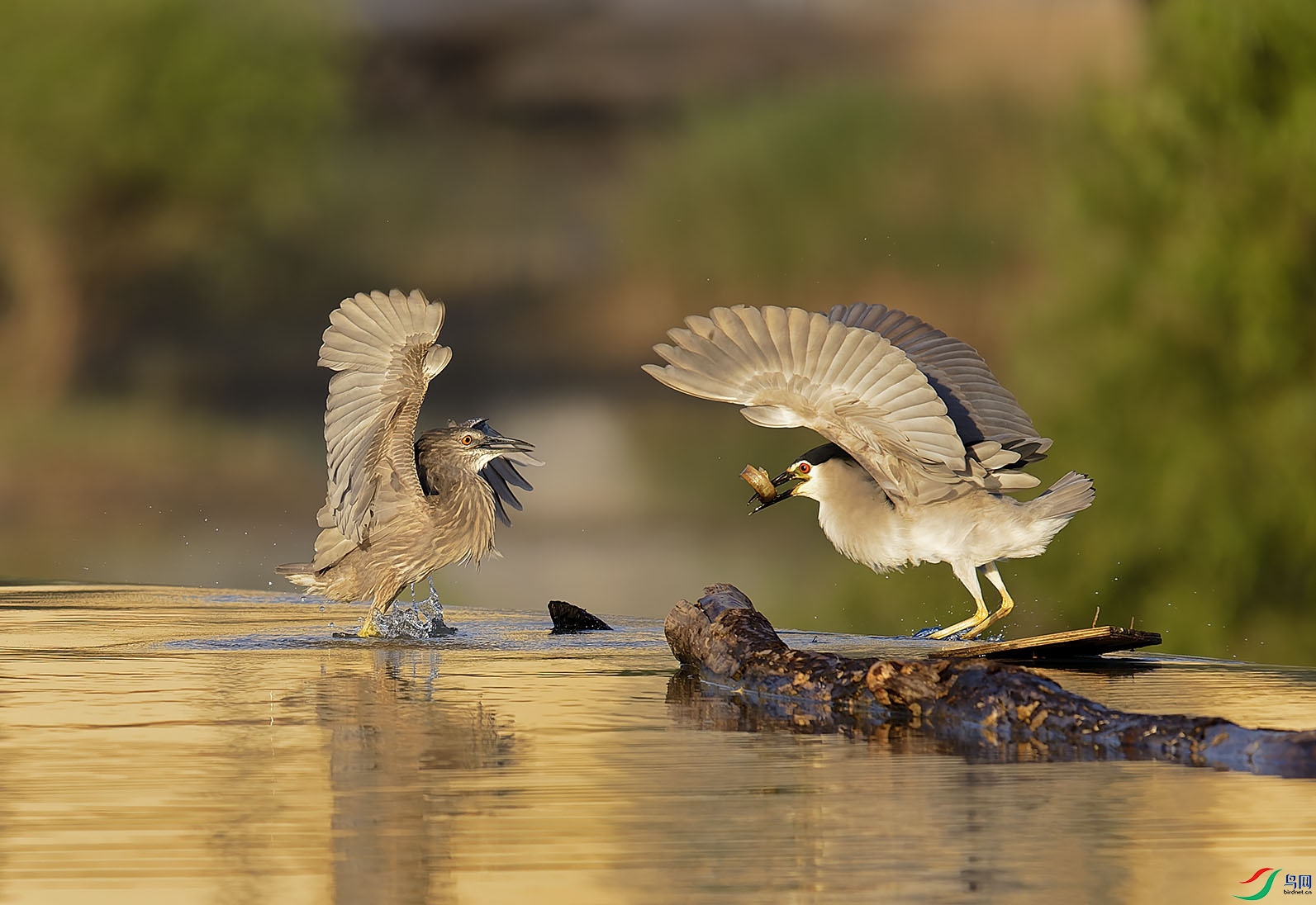 _A4I0094_DxO_1 ����.jpg