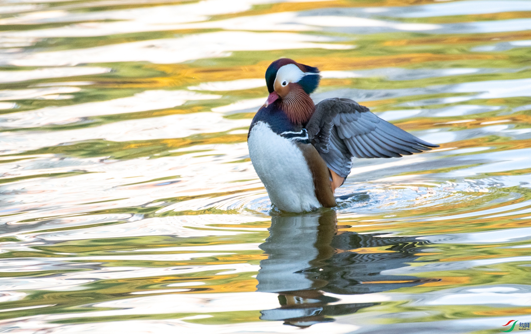 DSC_8508.jpg