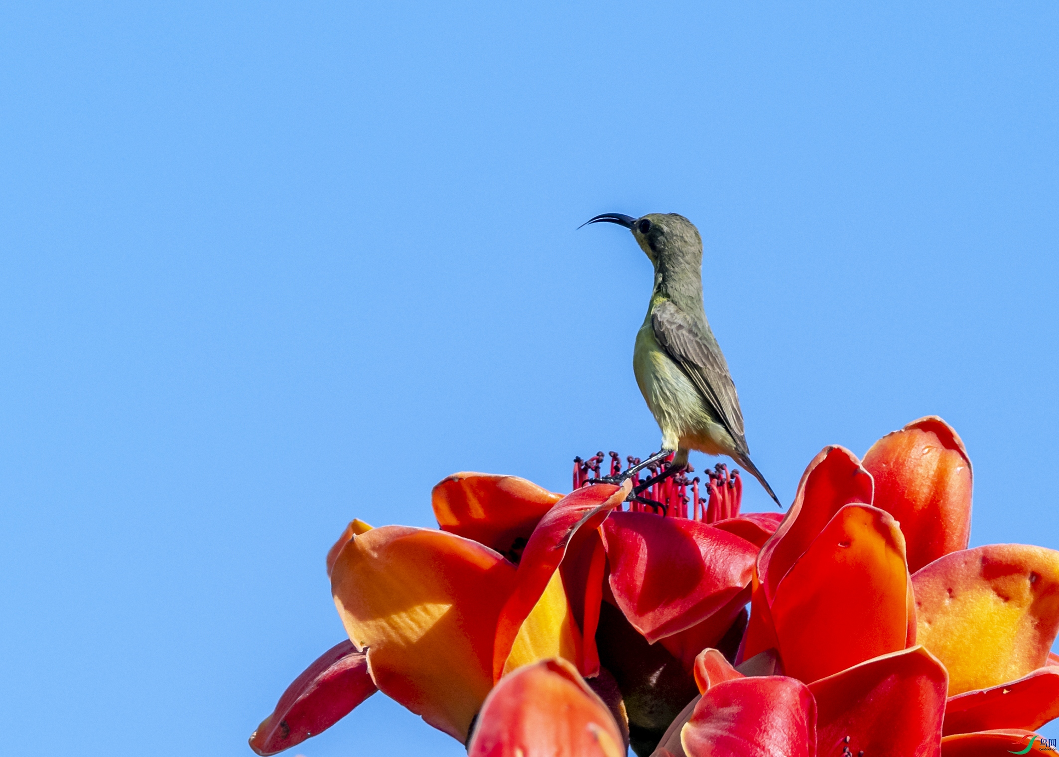 3347 ����.jpg