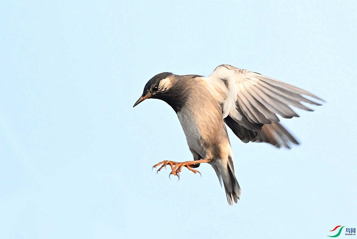 DSC_5015.JPG
