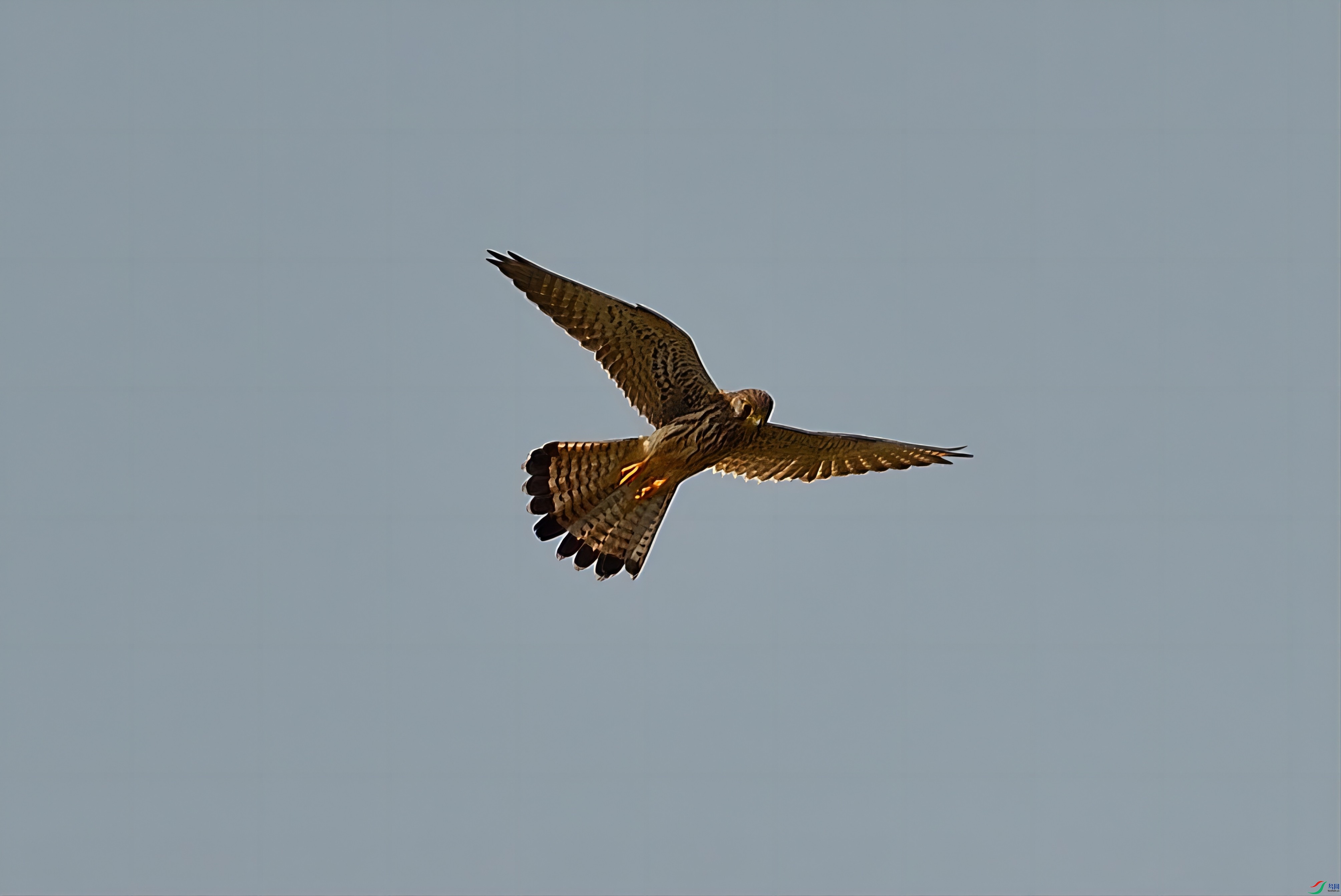 DSC_3895_330(3).jpg