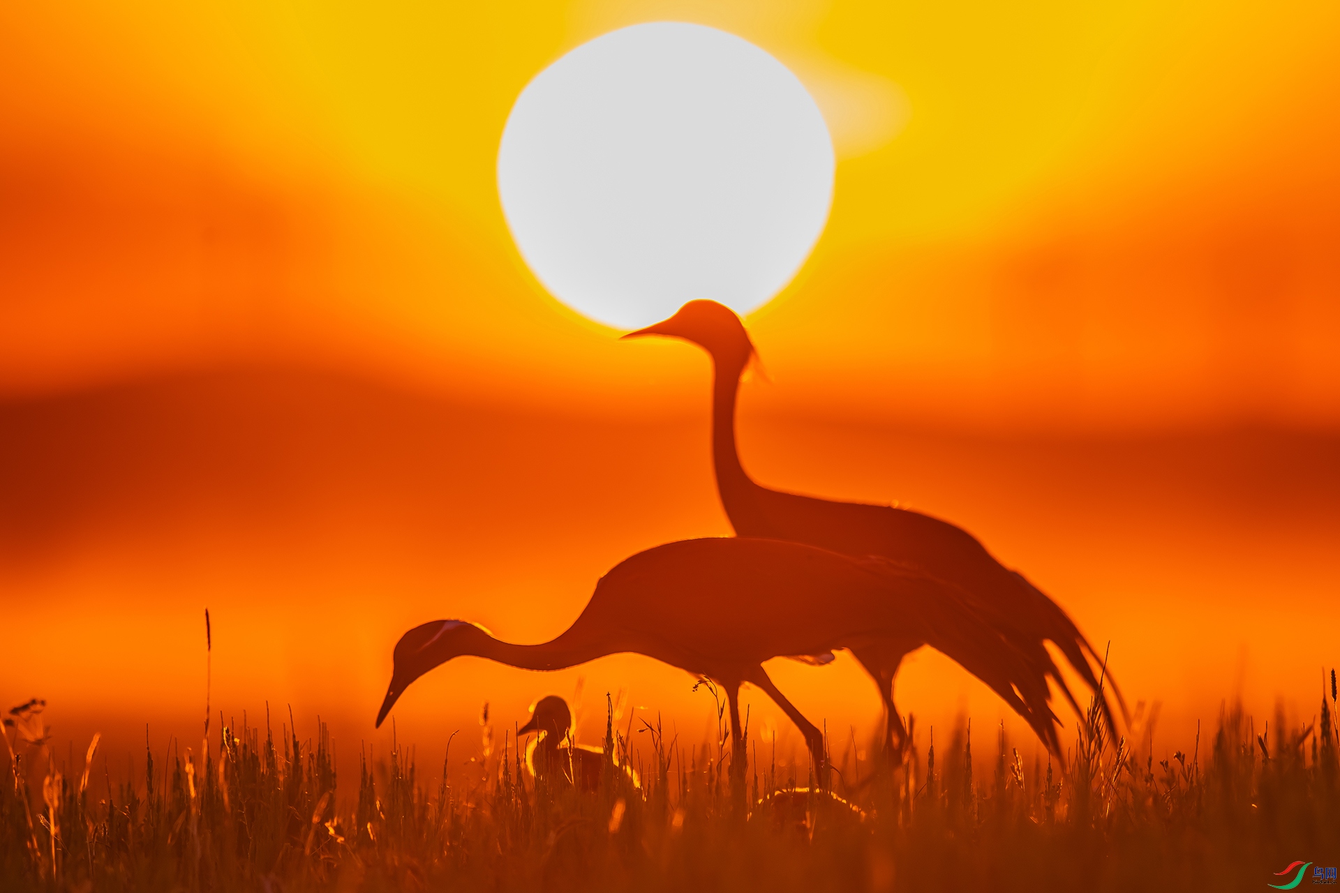 7W5A7563- ���� 2.jpg