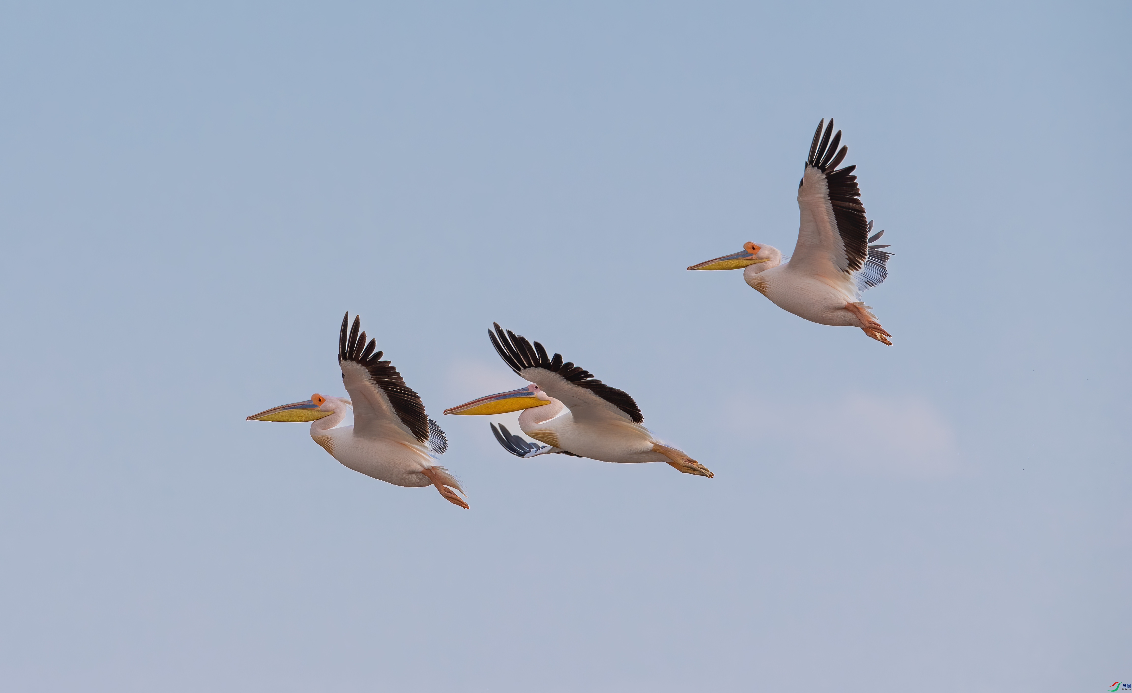 DSC_1565-1.jpg