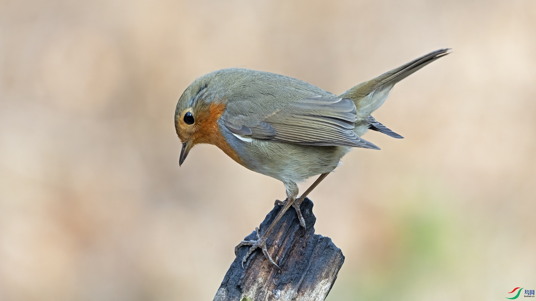 3U2A3384 ���� 2.jpg