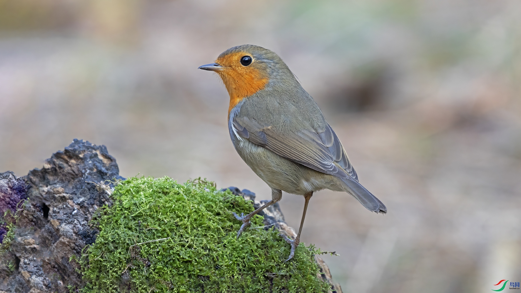 3U2A3237 ���� 2.jpg