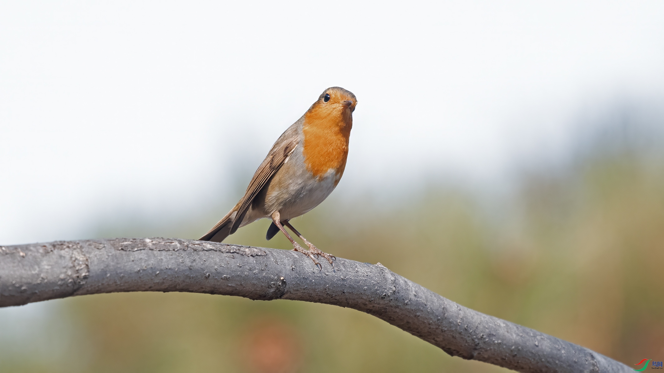 3U2A3669 ���� 2.jpg