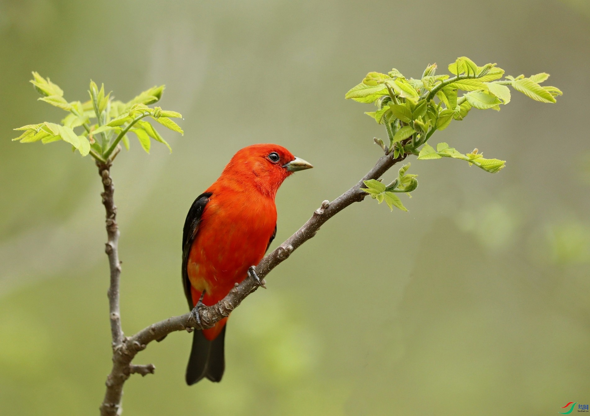 �ɺ�����ȸ