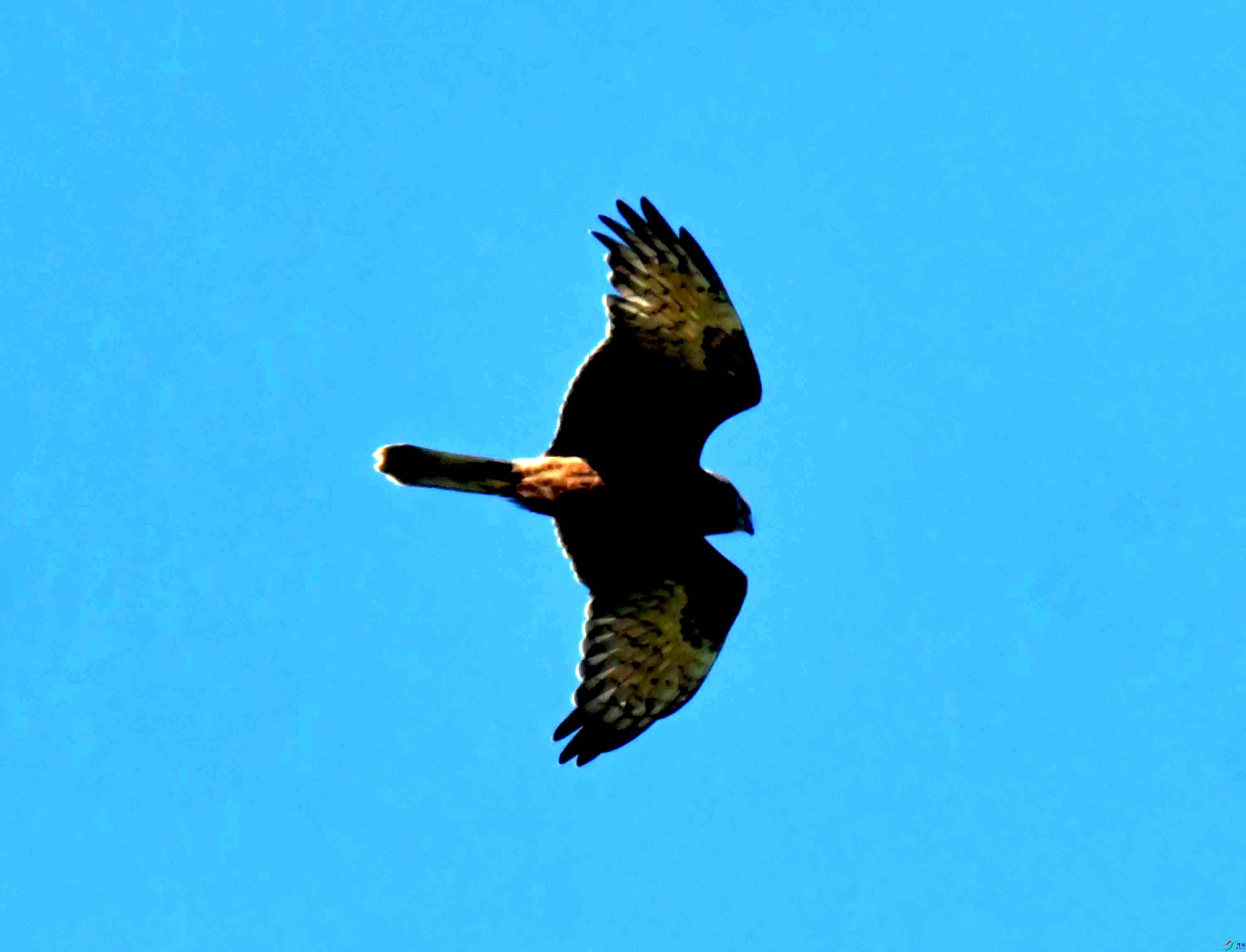 DSC_4264.JPG