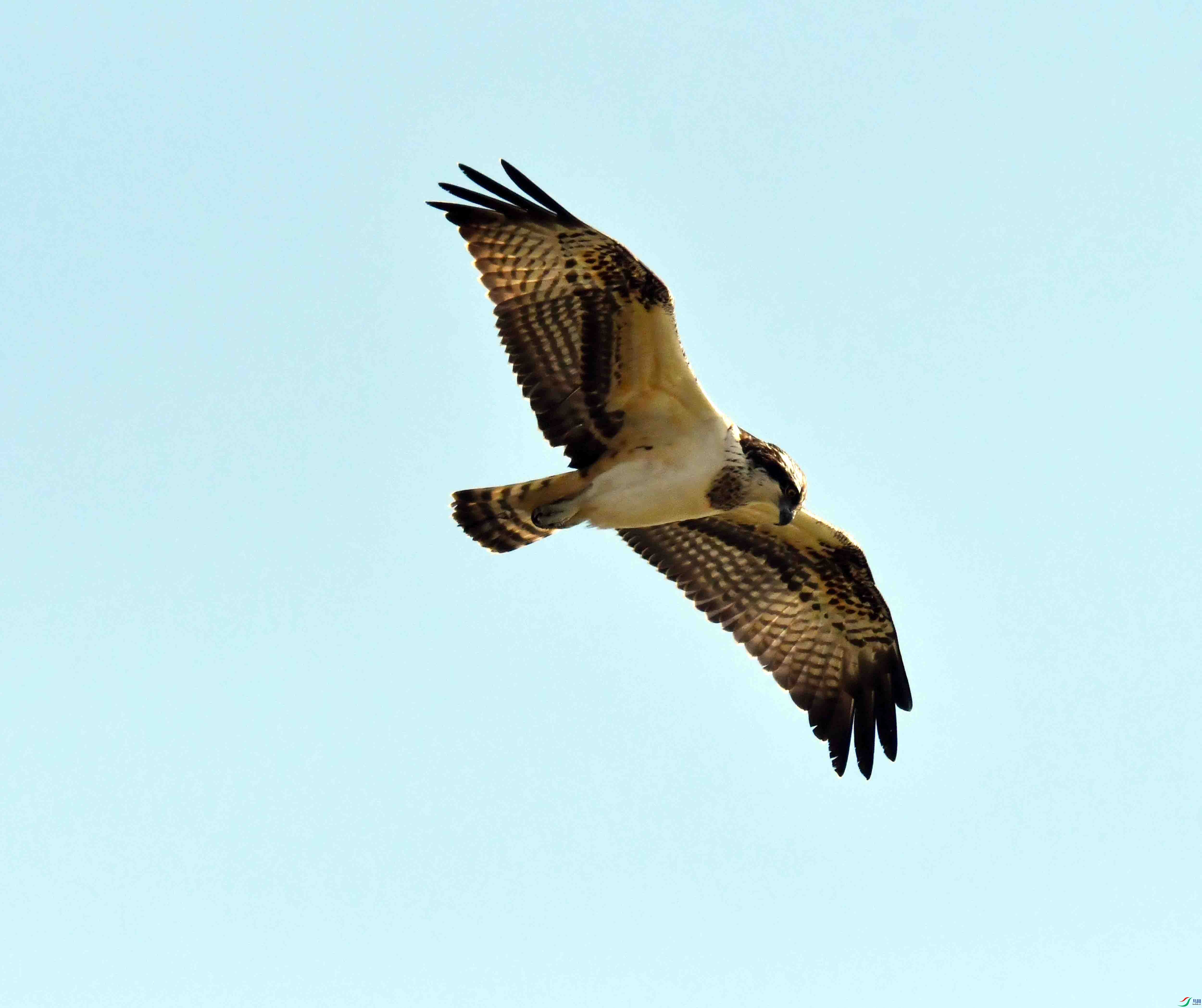 DSC_5160.JPG