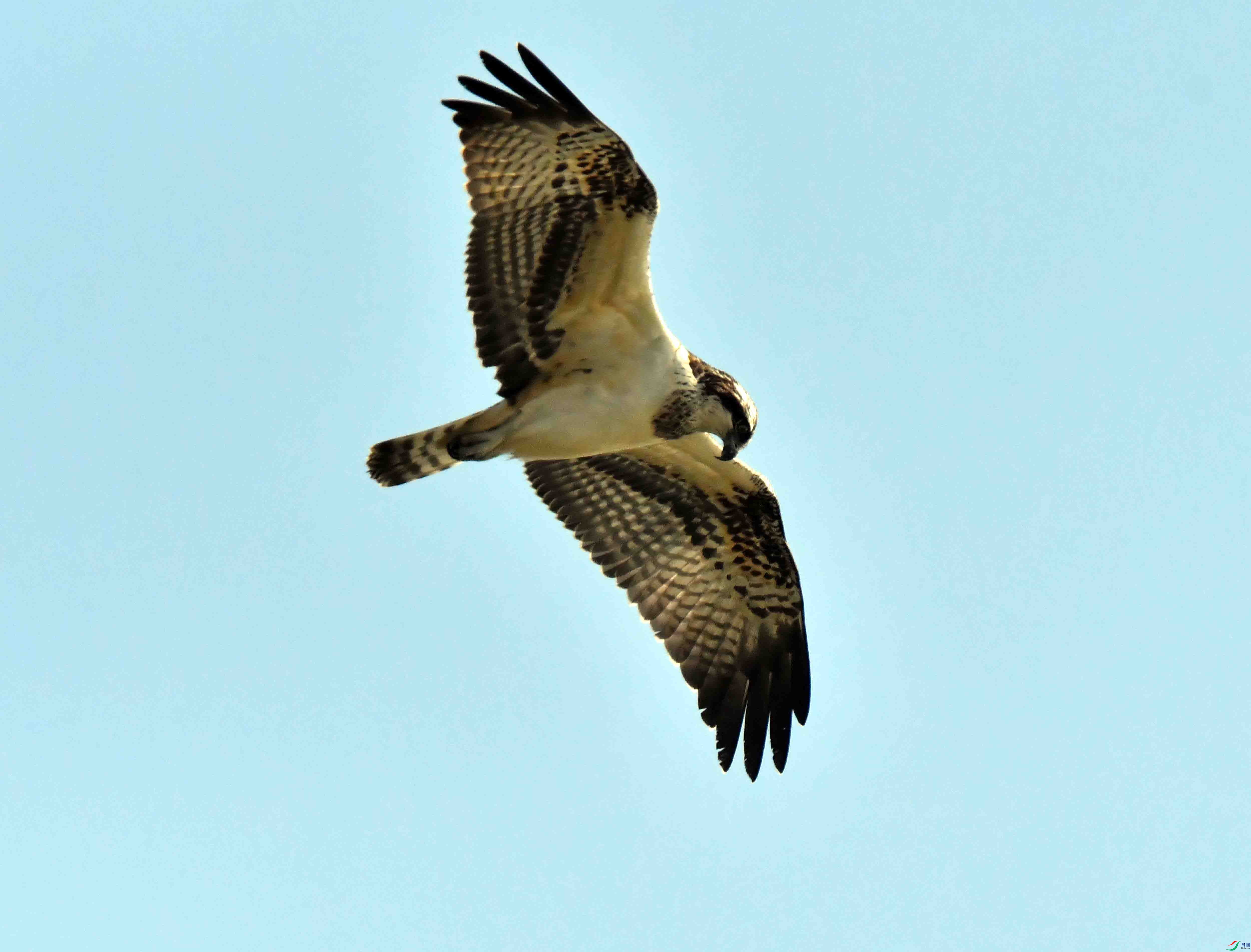 DSC_5163.JPG