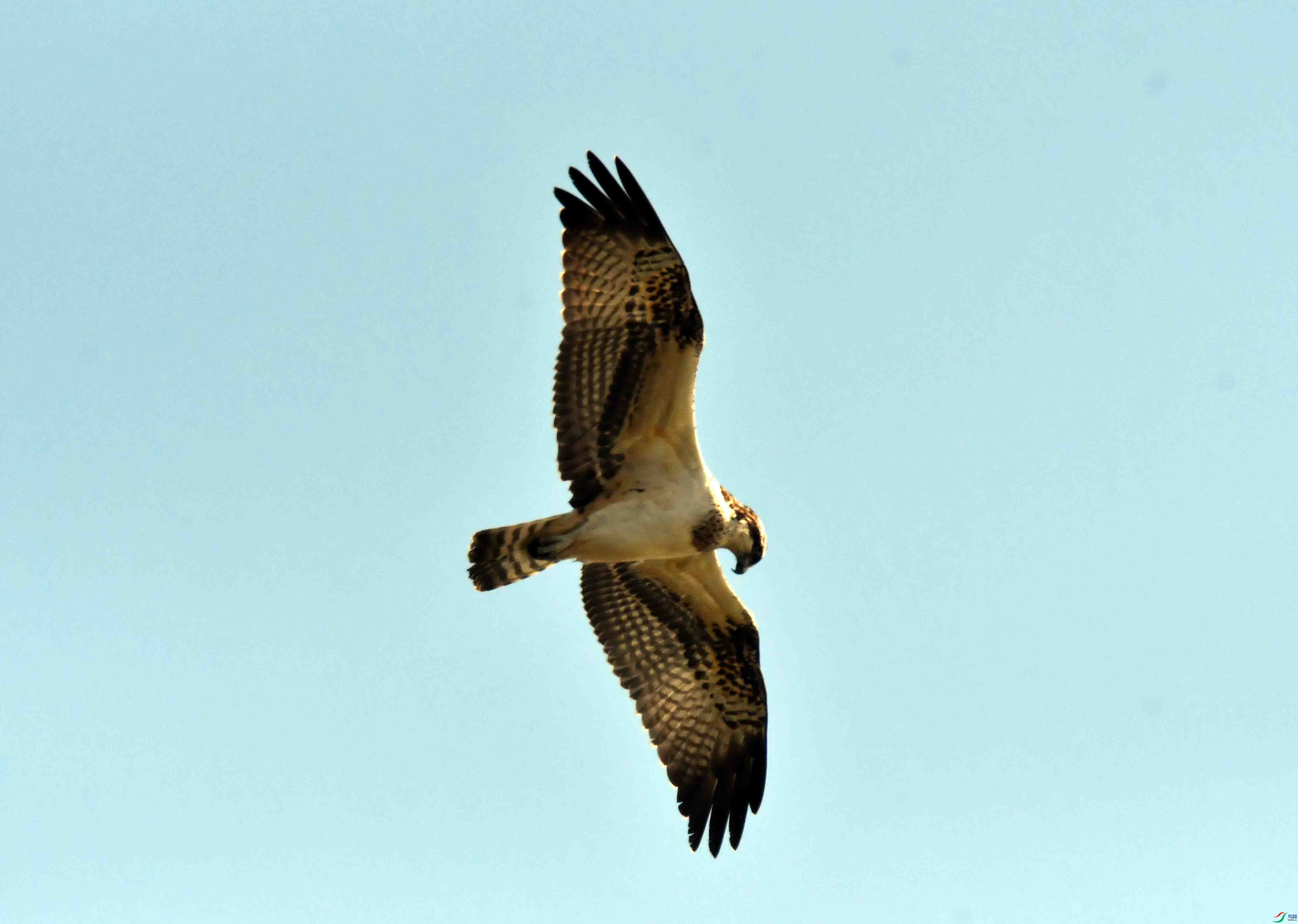 DSC_5164.JPG